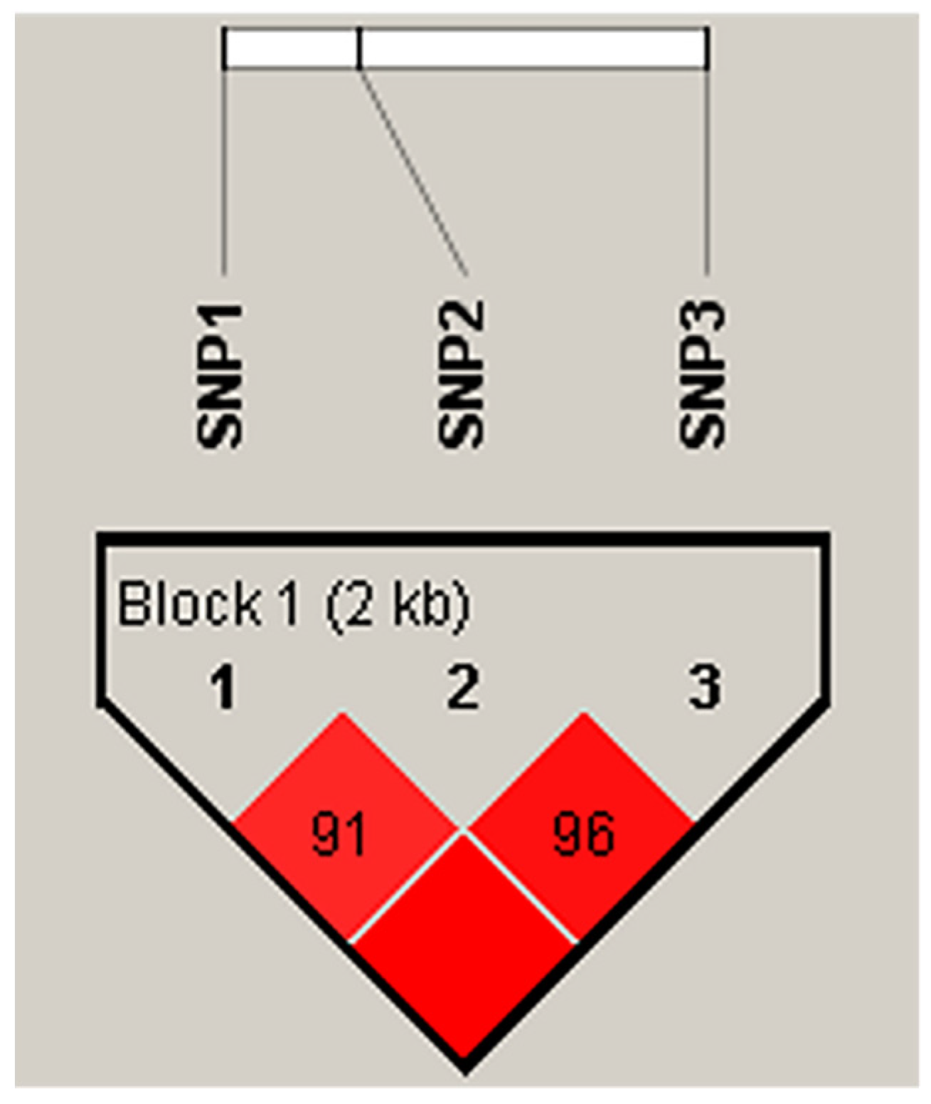 Animals 12 00058 g004
