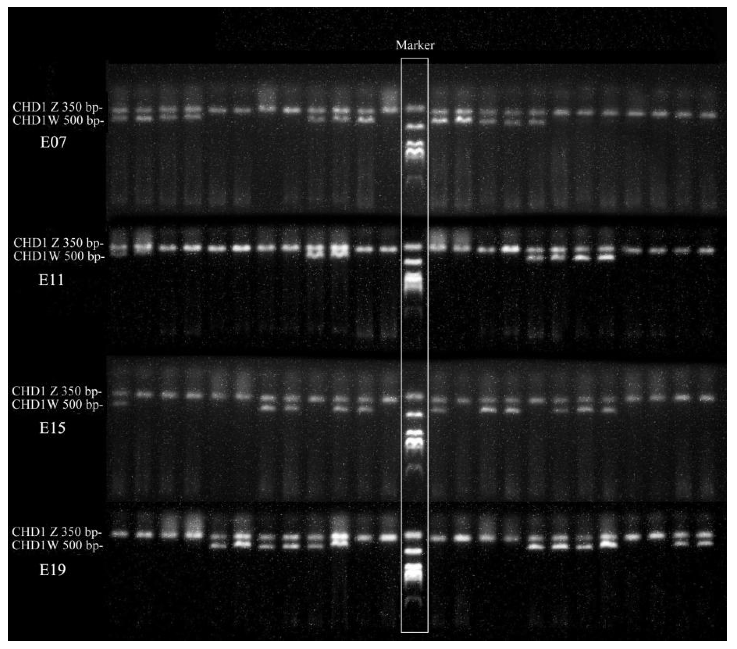 Animals 12 00071 g001 Animals 12 00071 g001