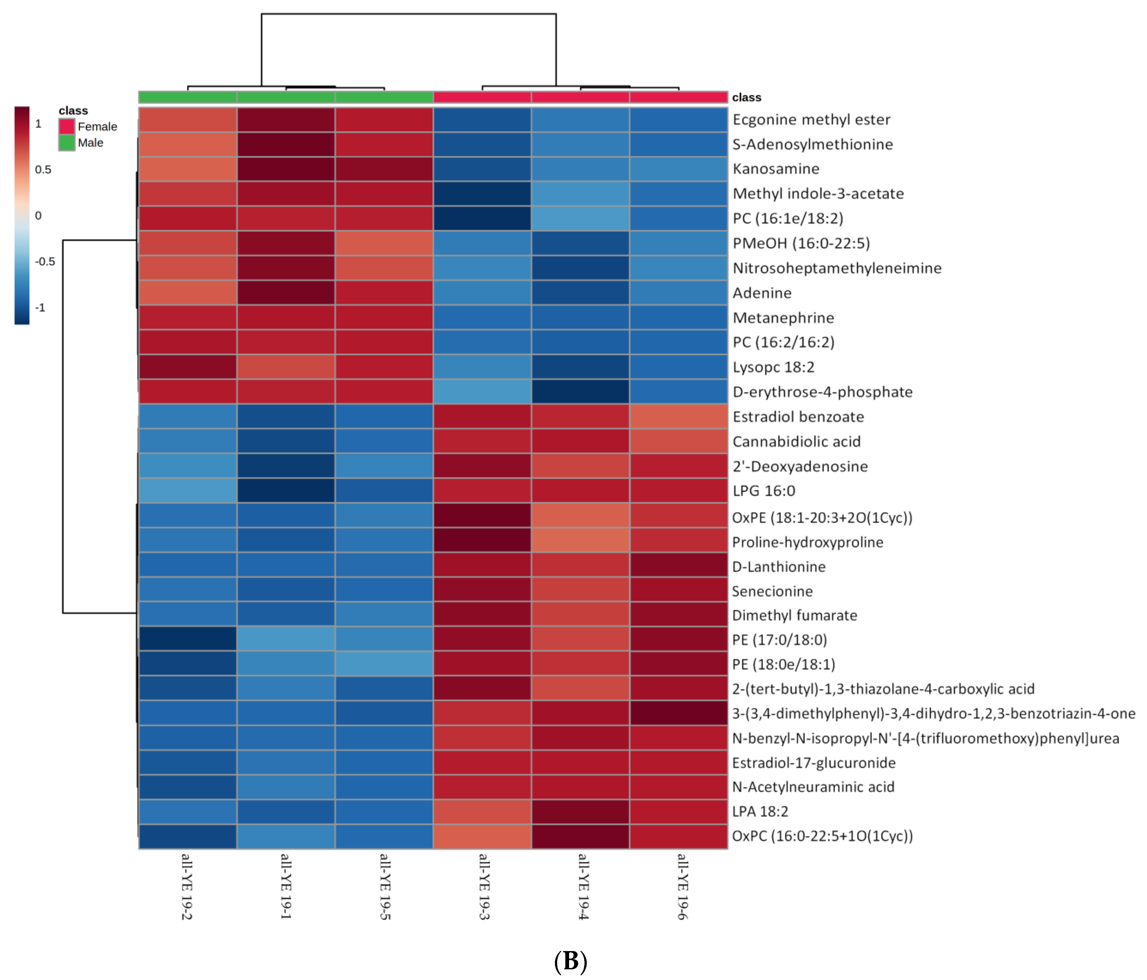 Animals 12 00071 g005b