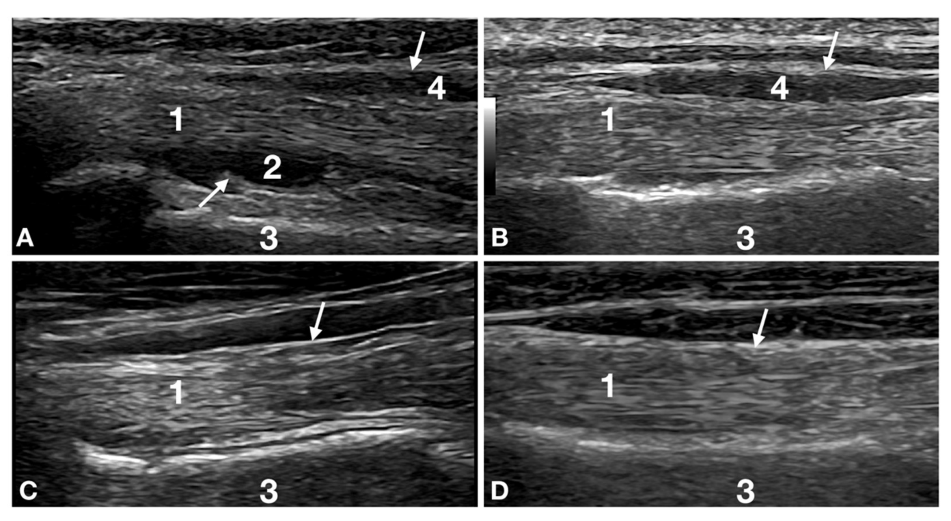 Animals 12 00078 g001