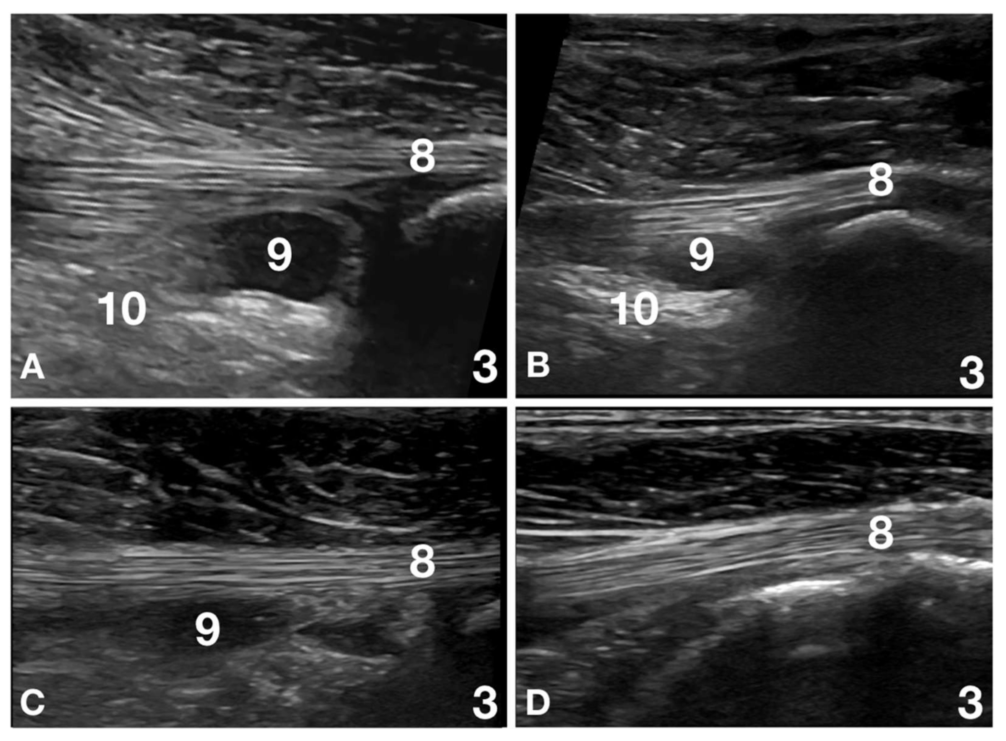 Animals 12 00078 g003