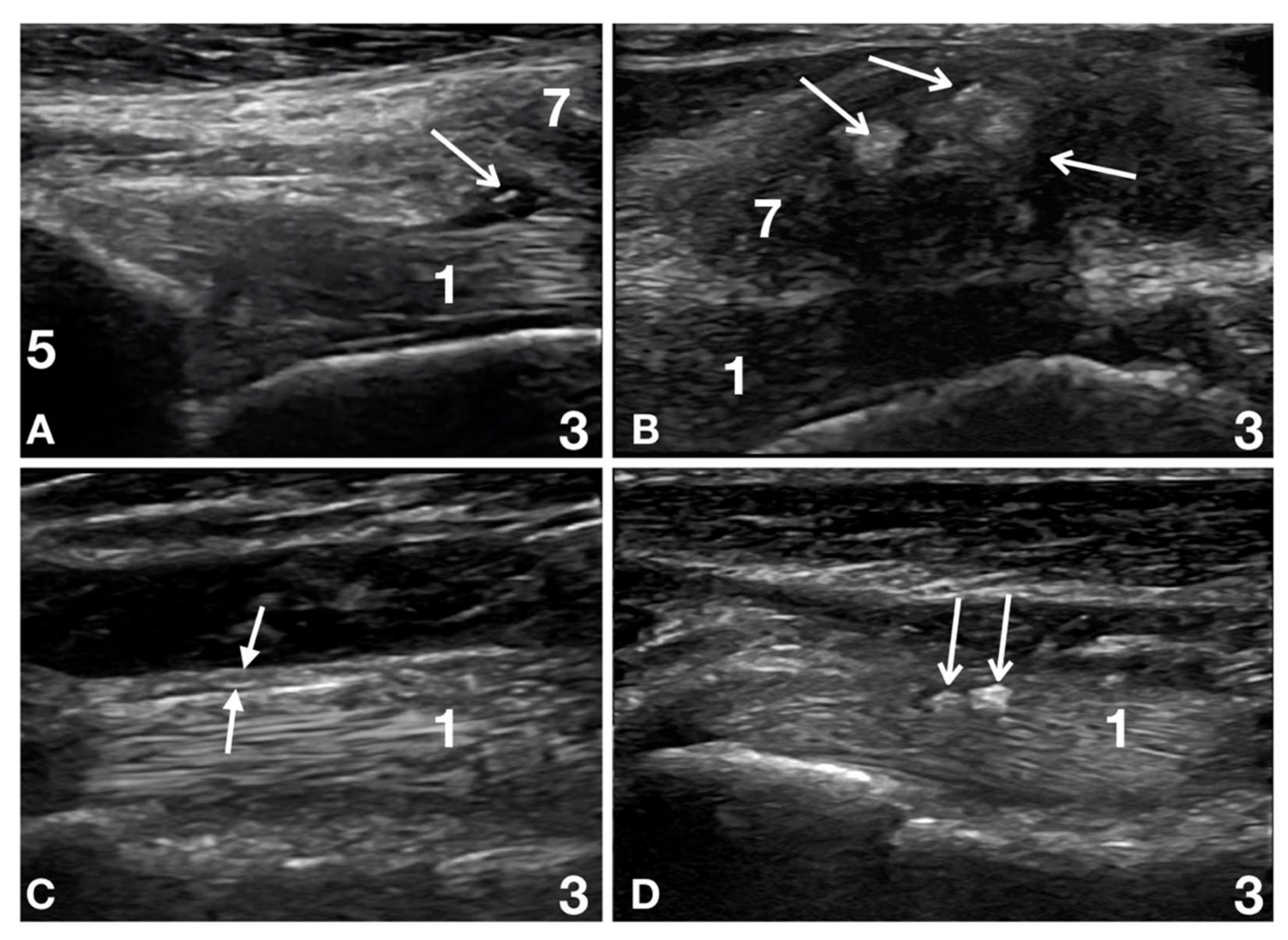 Animals 12 00078 g004