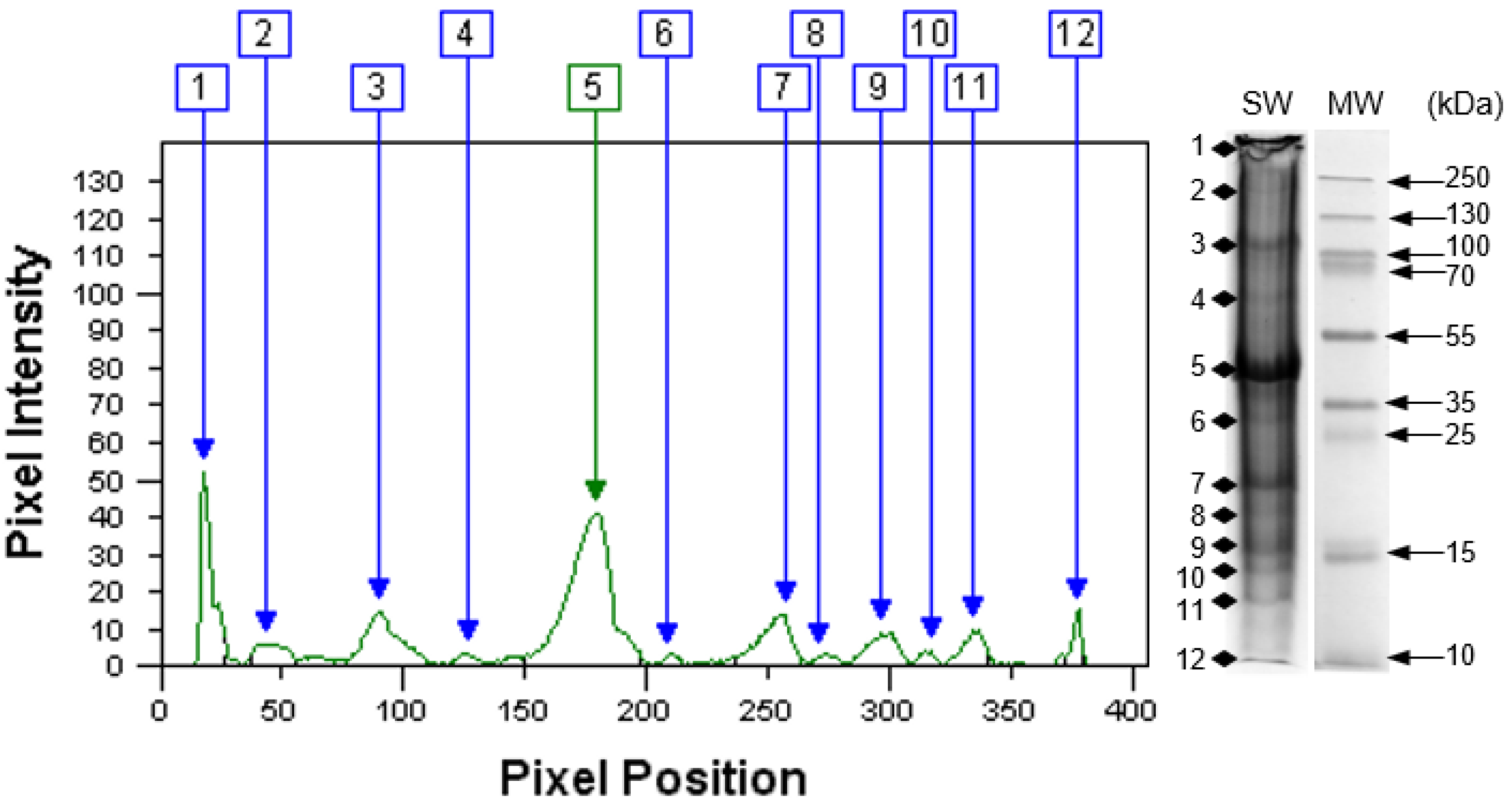 Animals 12 00090 g003