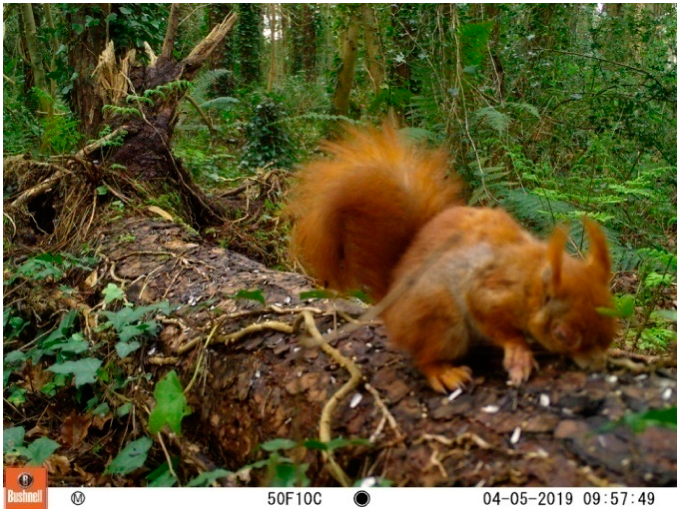 Animals 12 00099 g004 Animals 12 00099 g004