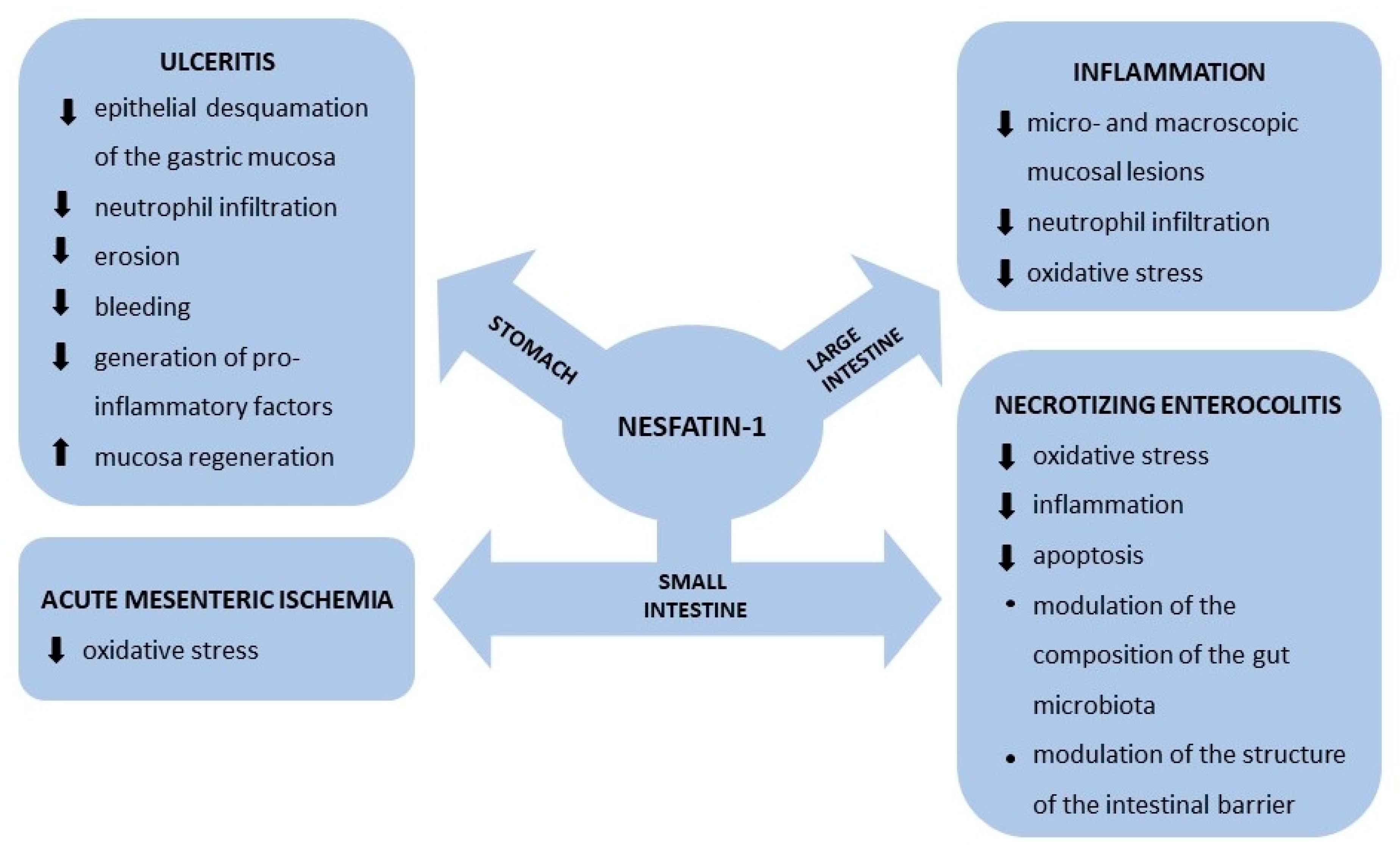 Animals 12 00101 g002