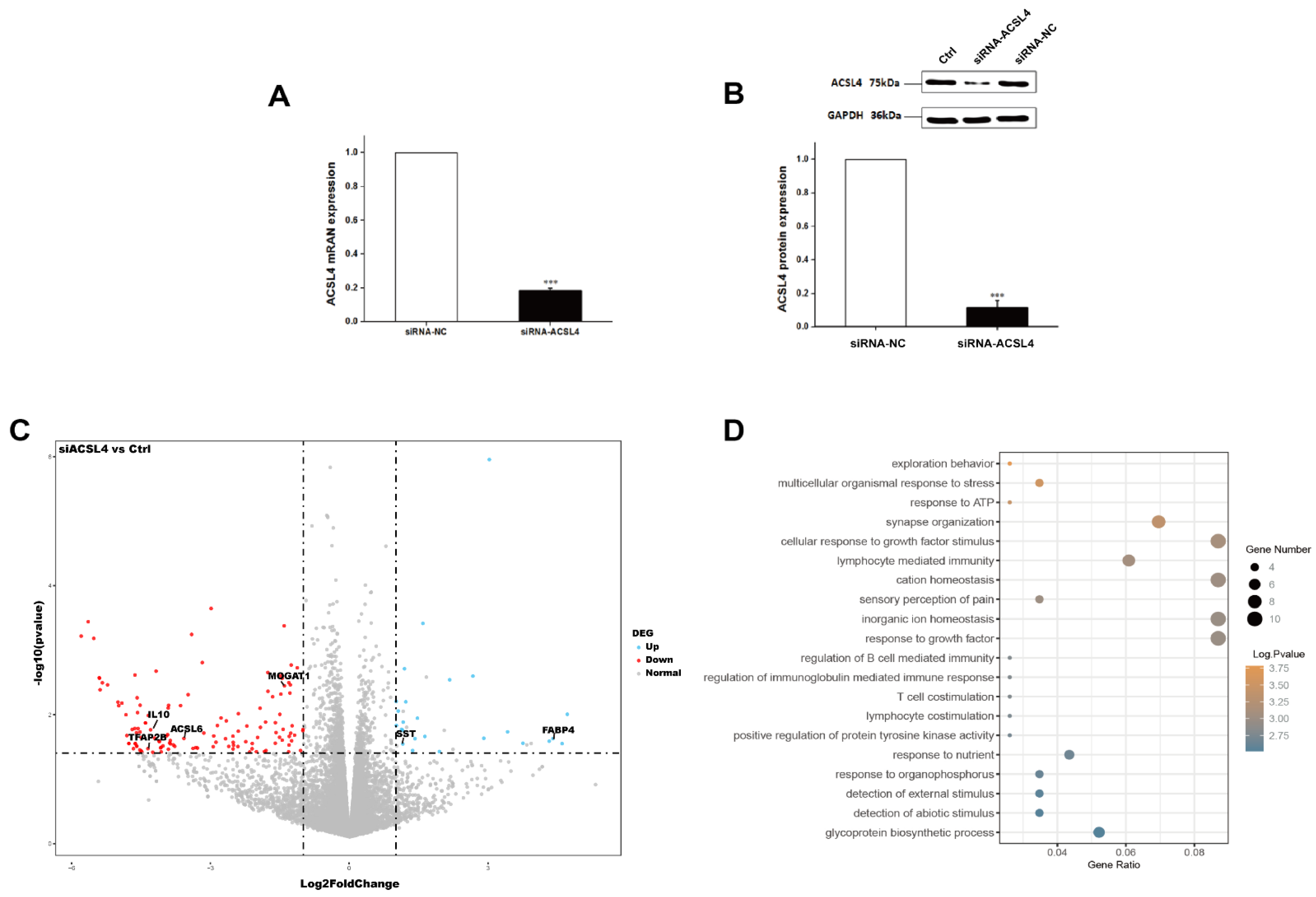 Animals 12 00119 g003