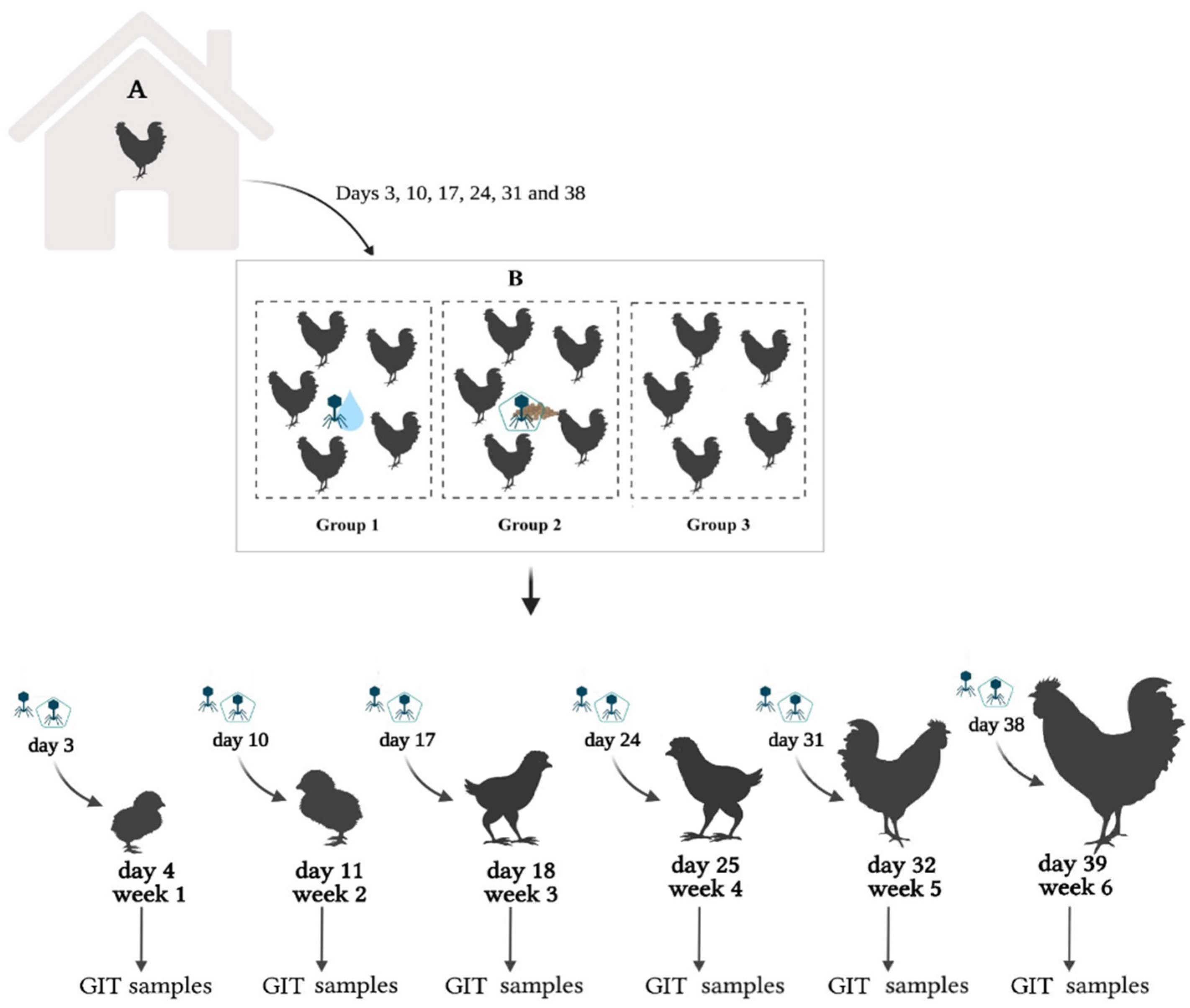 Animals 12 00144 g001