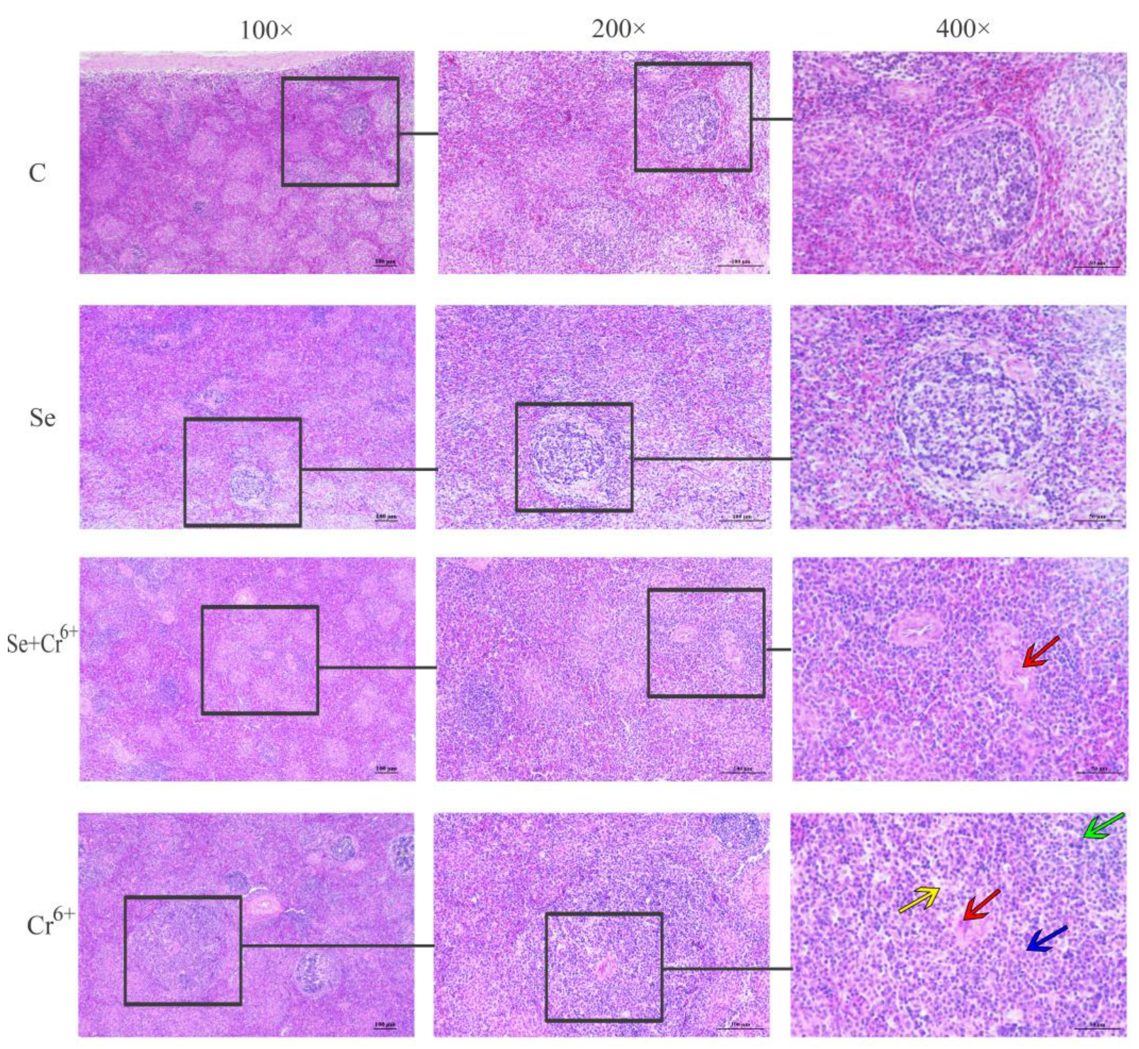 Animals 12 00146 g004
