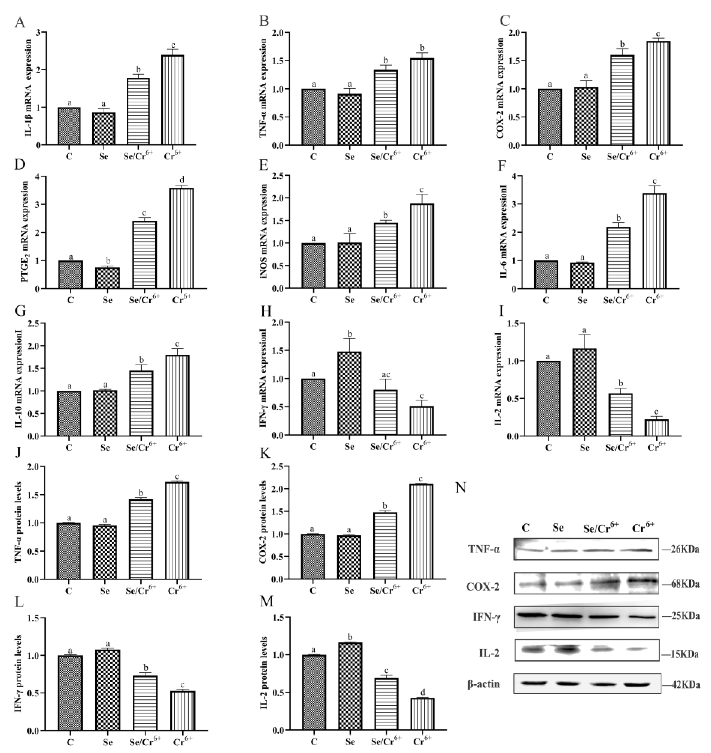 Animals 12 00146 g005