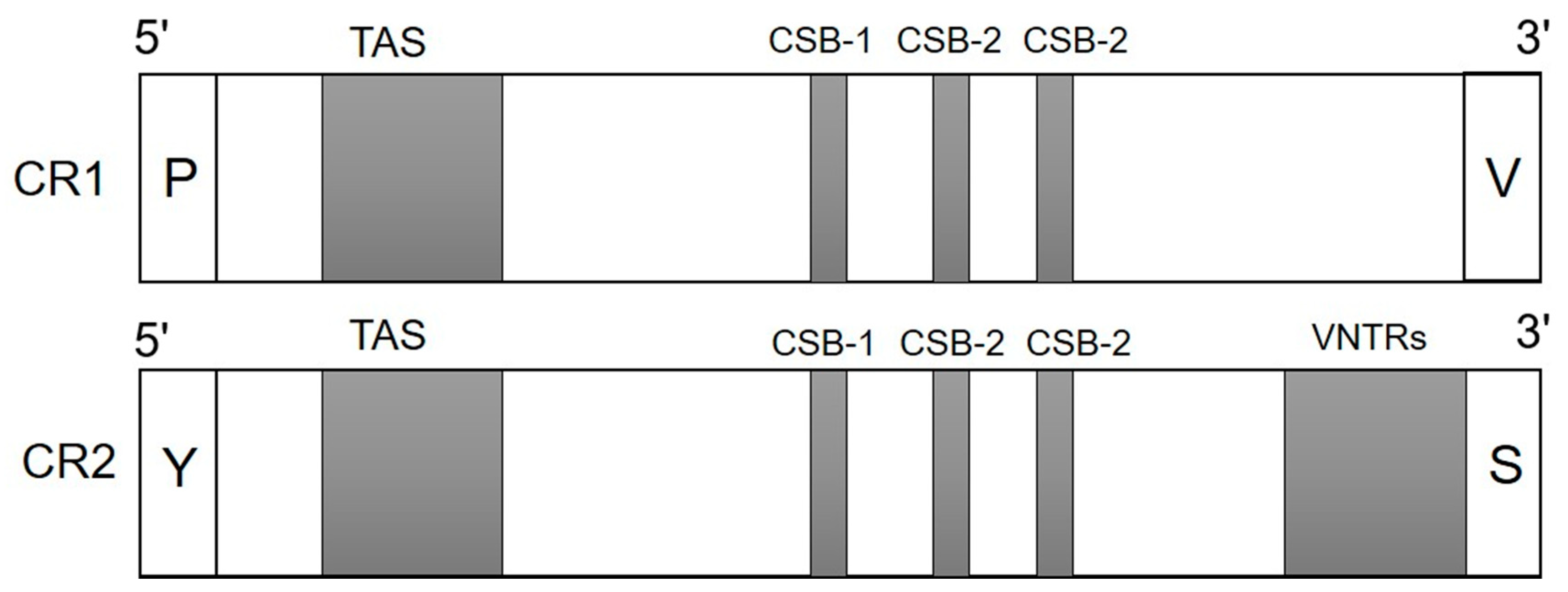 Animals 12 00148 g001