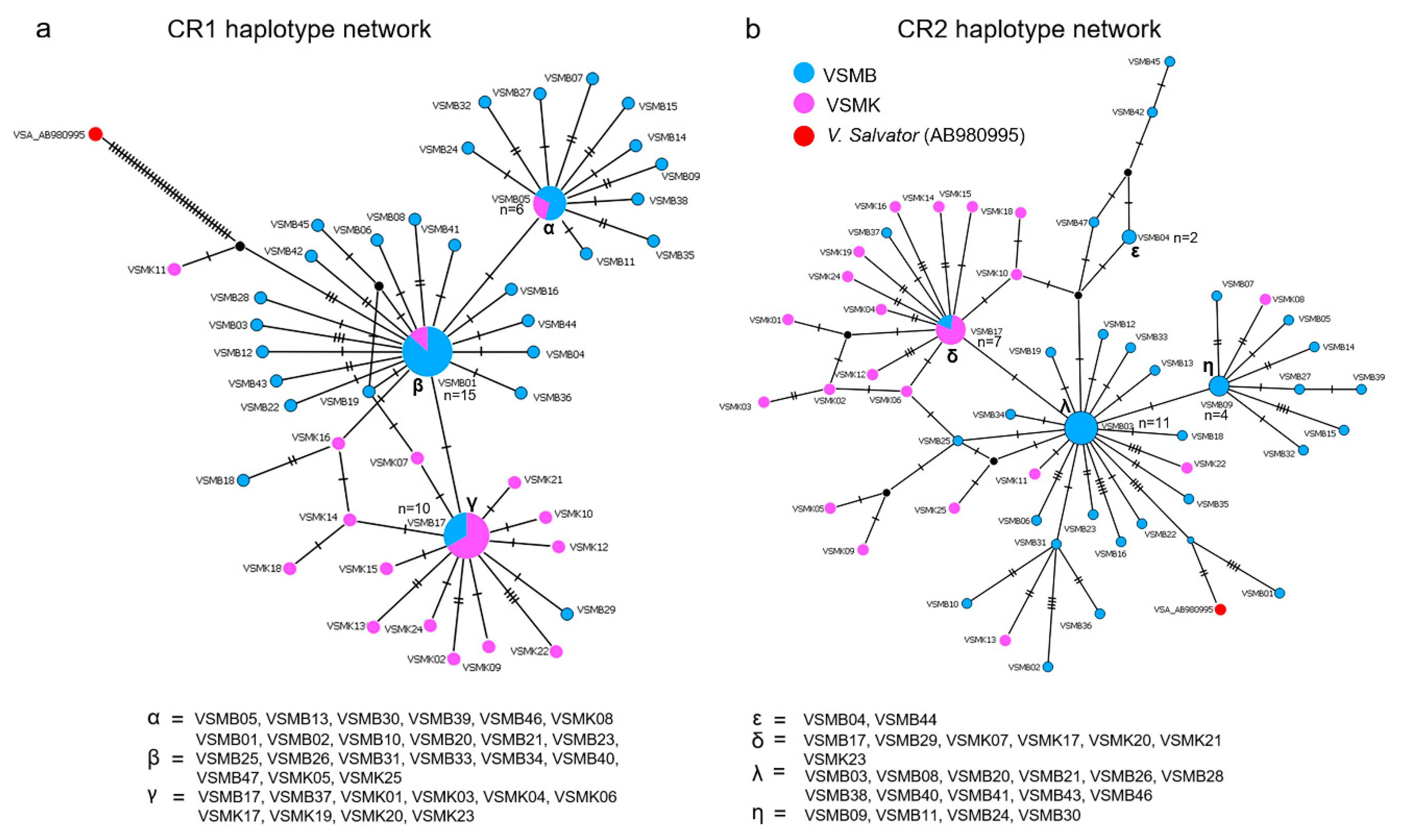 Animals 12 00148 g002