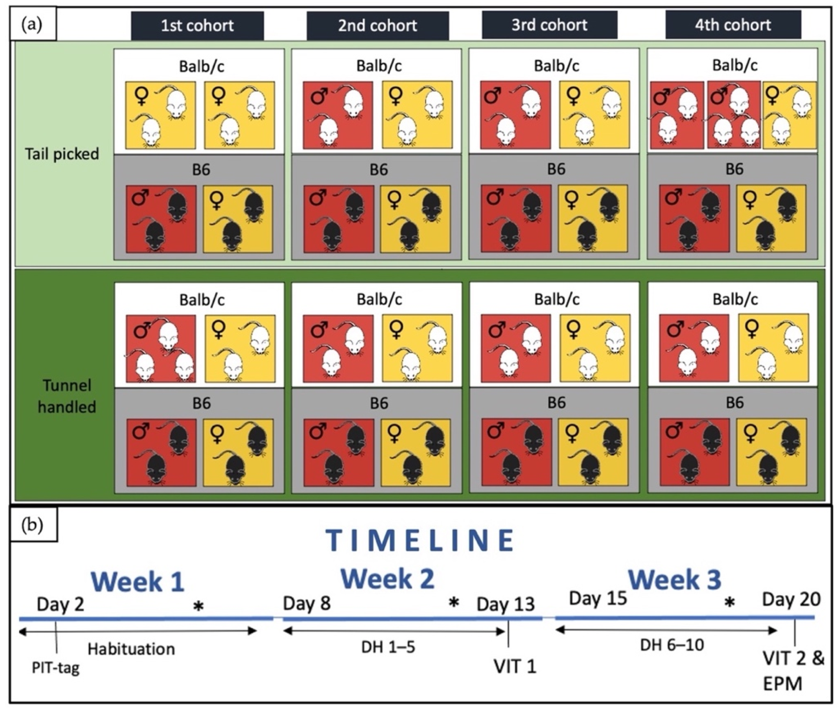 Animals 12 00177 g001