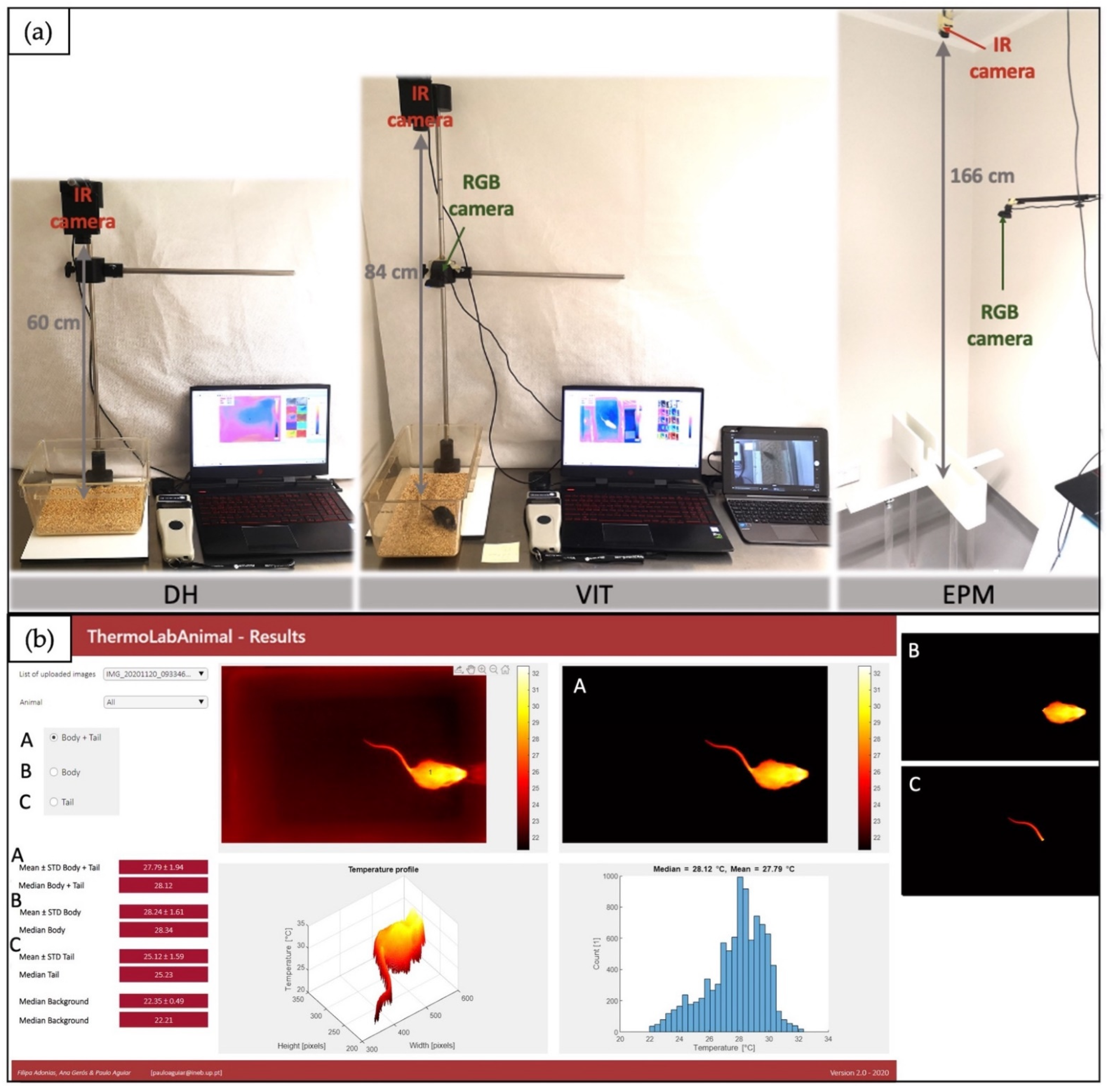 Animals 12 00177 g002