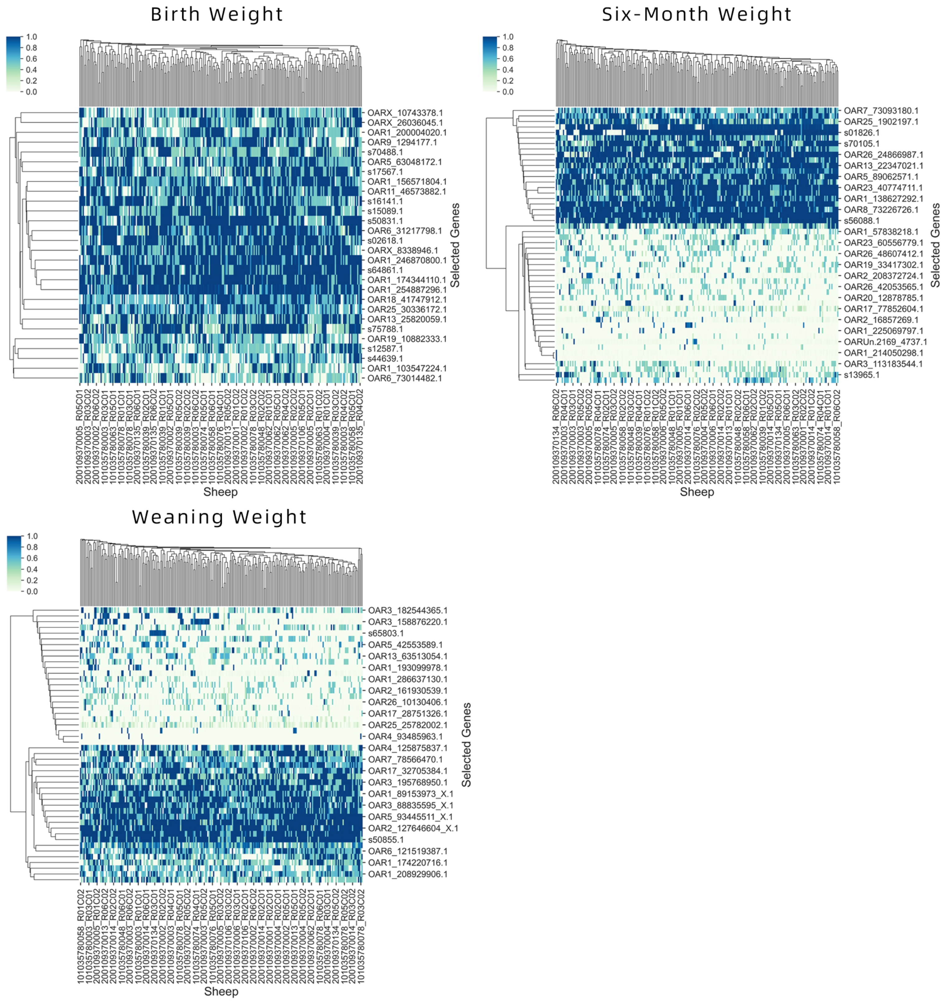 Animals 12 00201 g006