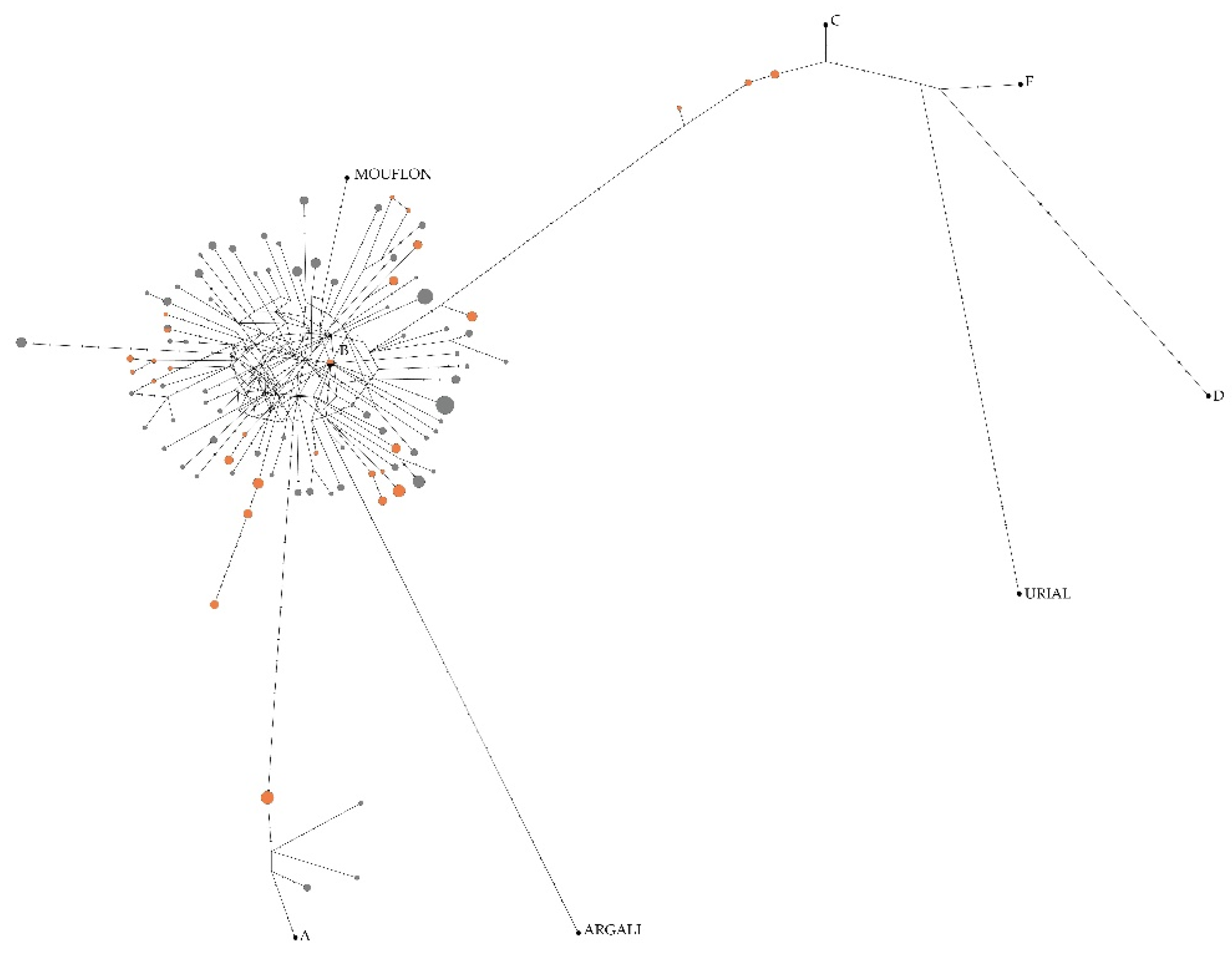 Animals 12 00218 g002