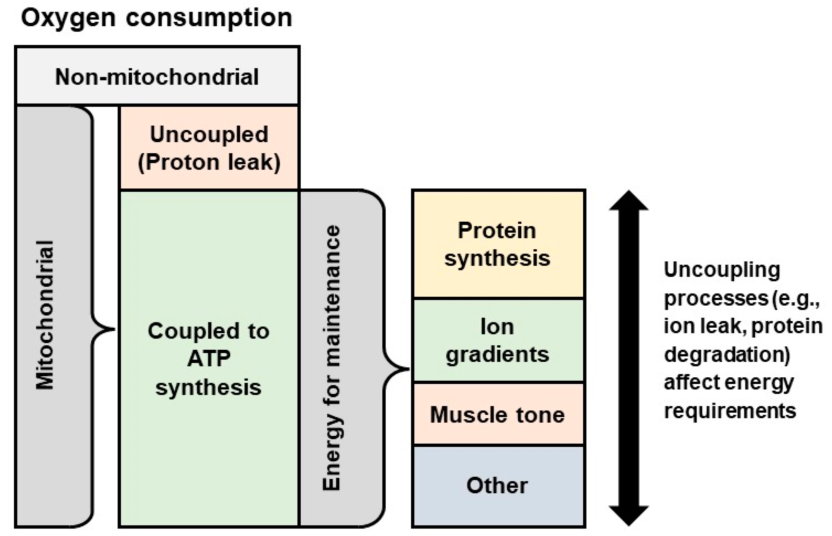 Animals 12 00220 g001 Animals 12 00220 g001