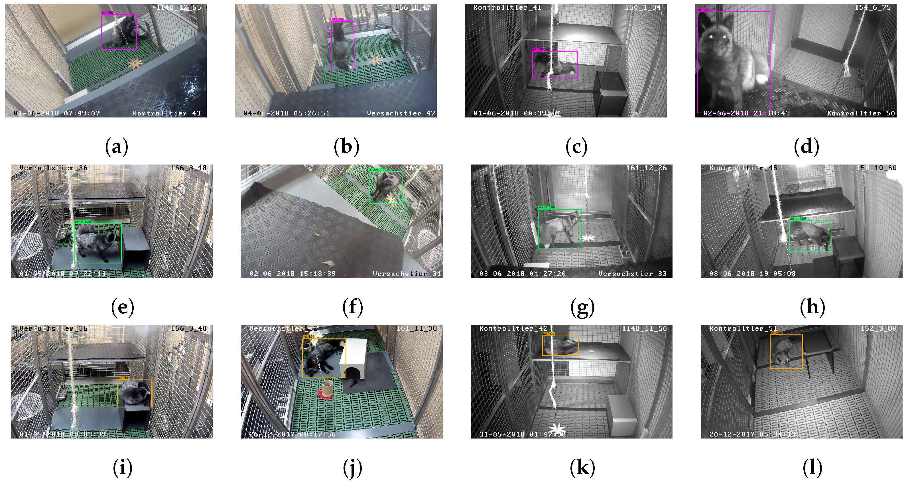 Animals 12 00233 g002