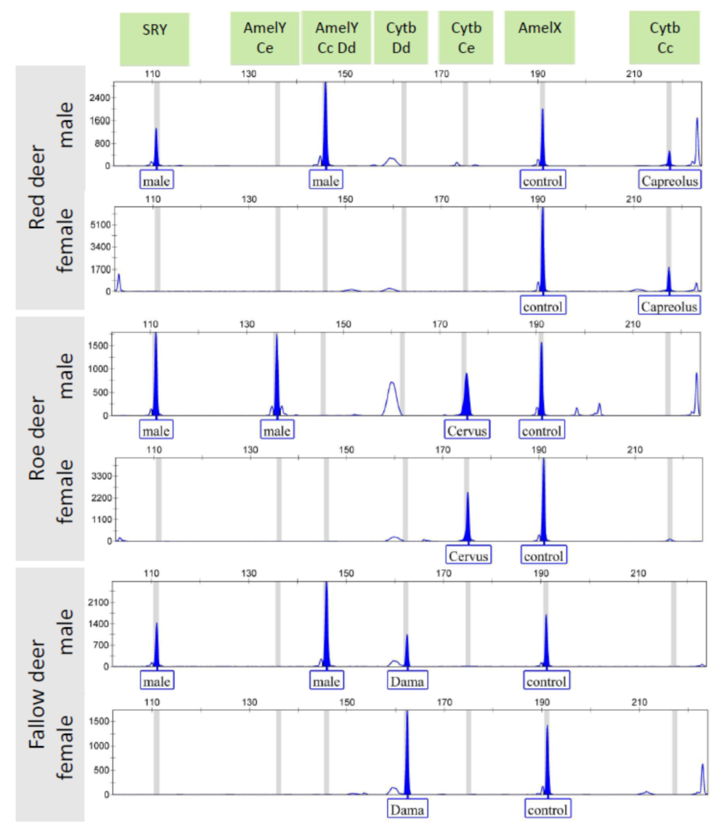 Animals 12 00246 g002