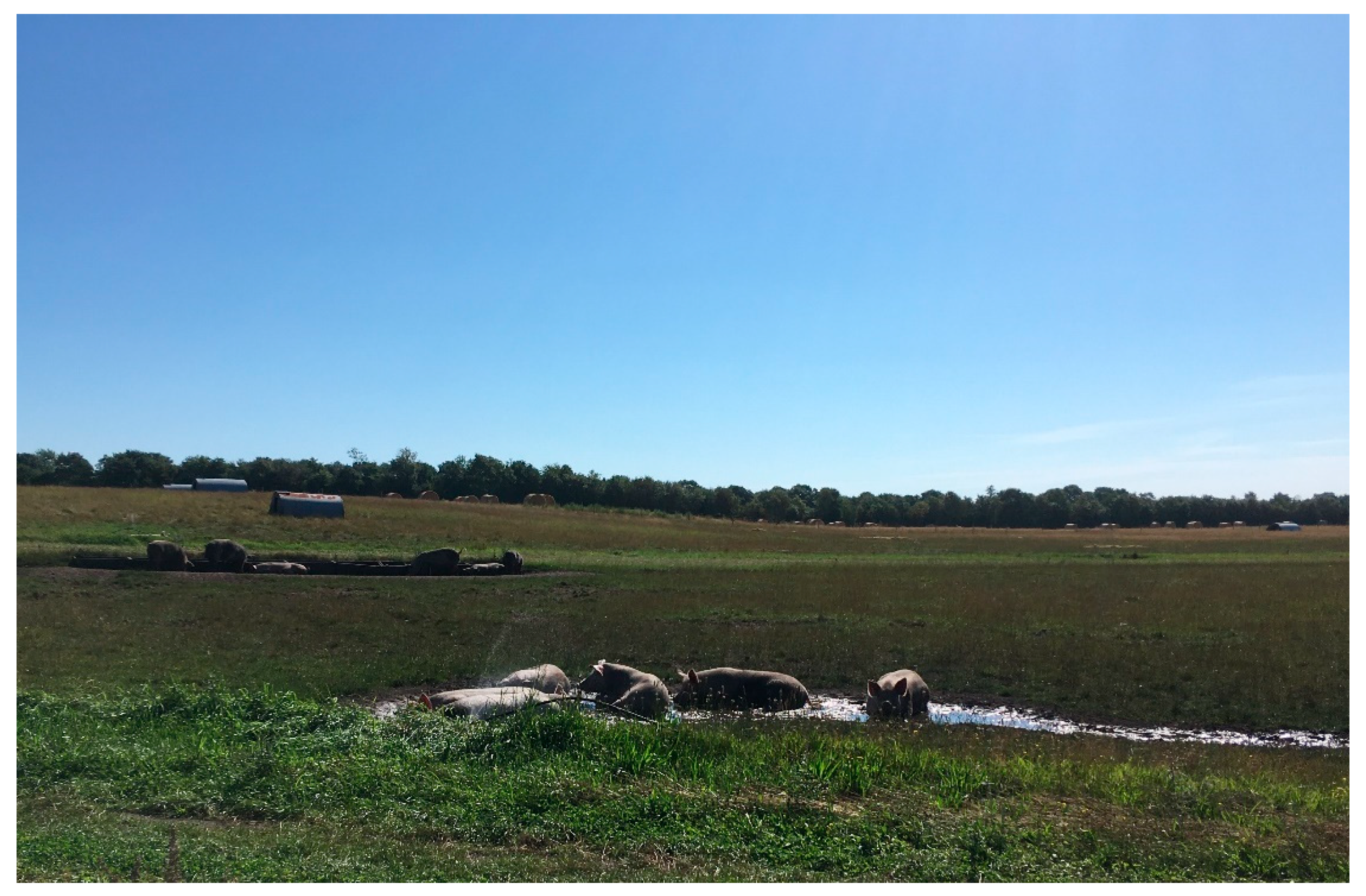 Animals 12 00299 g001