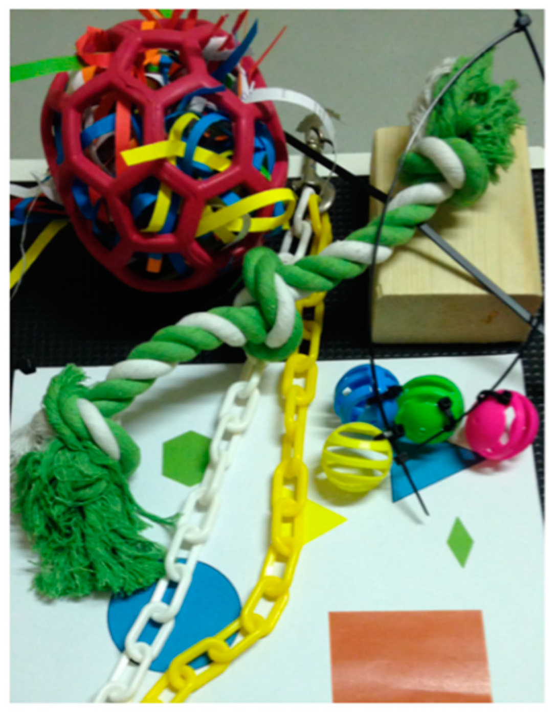 Animals 12 00310 g001