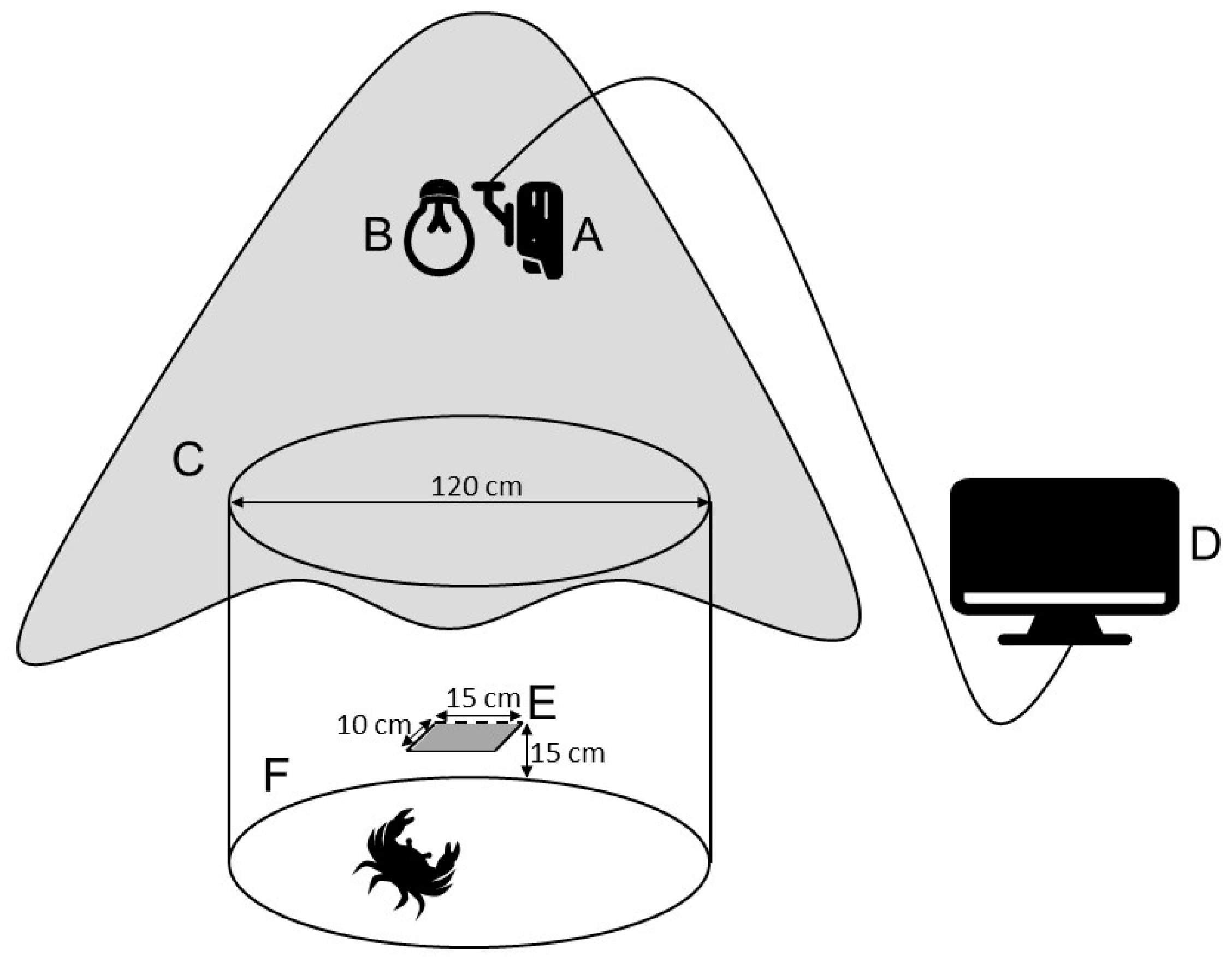 Animals 12 00314 g001