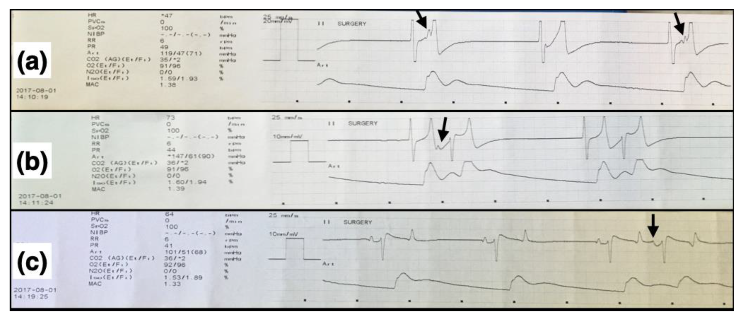 Animals 12 00353 g004