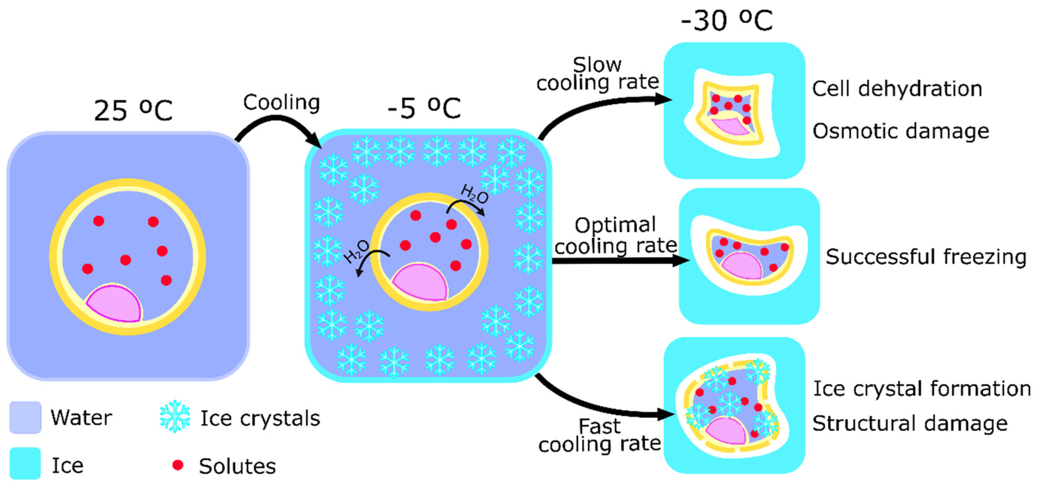 Animals 12 00359 g001