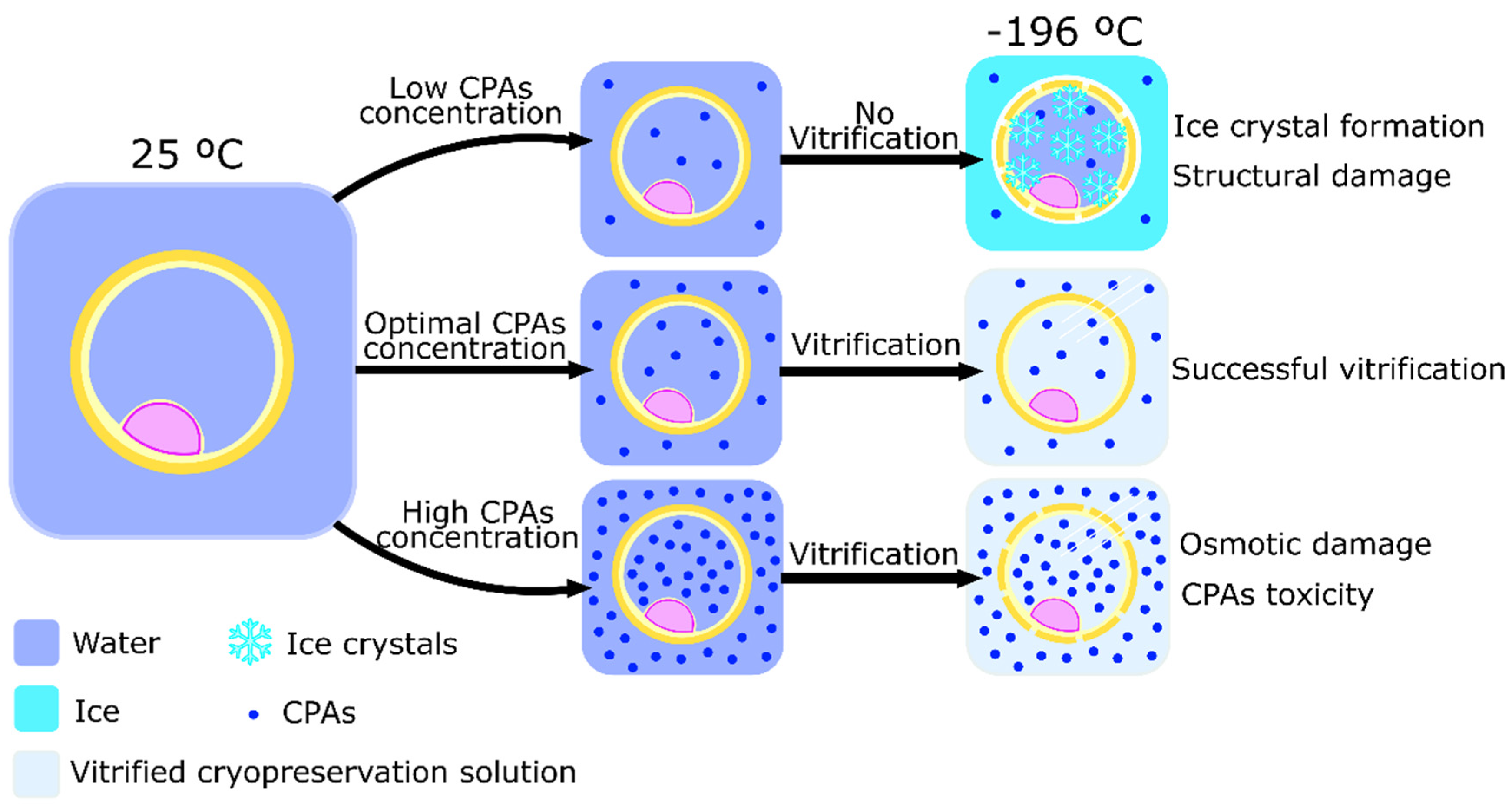 Animals 12 00359 g002