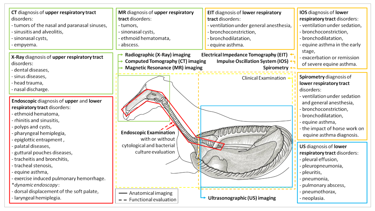 Animals 12 00381 g001 Animals 12 00381 g001