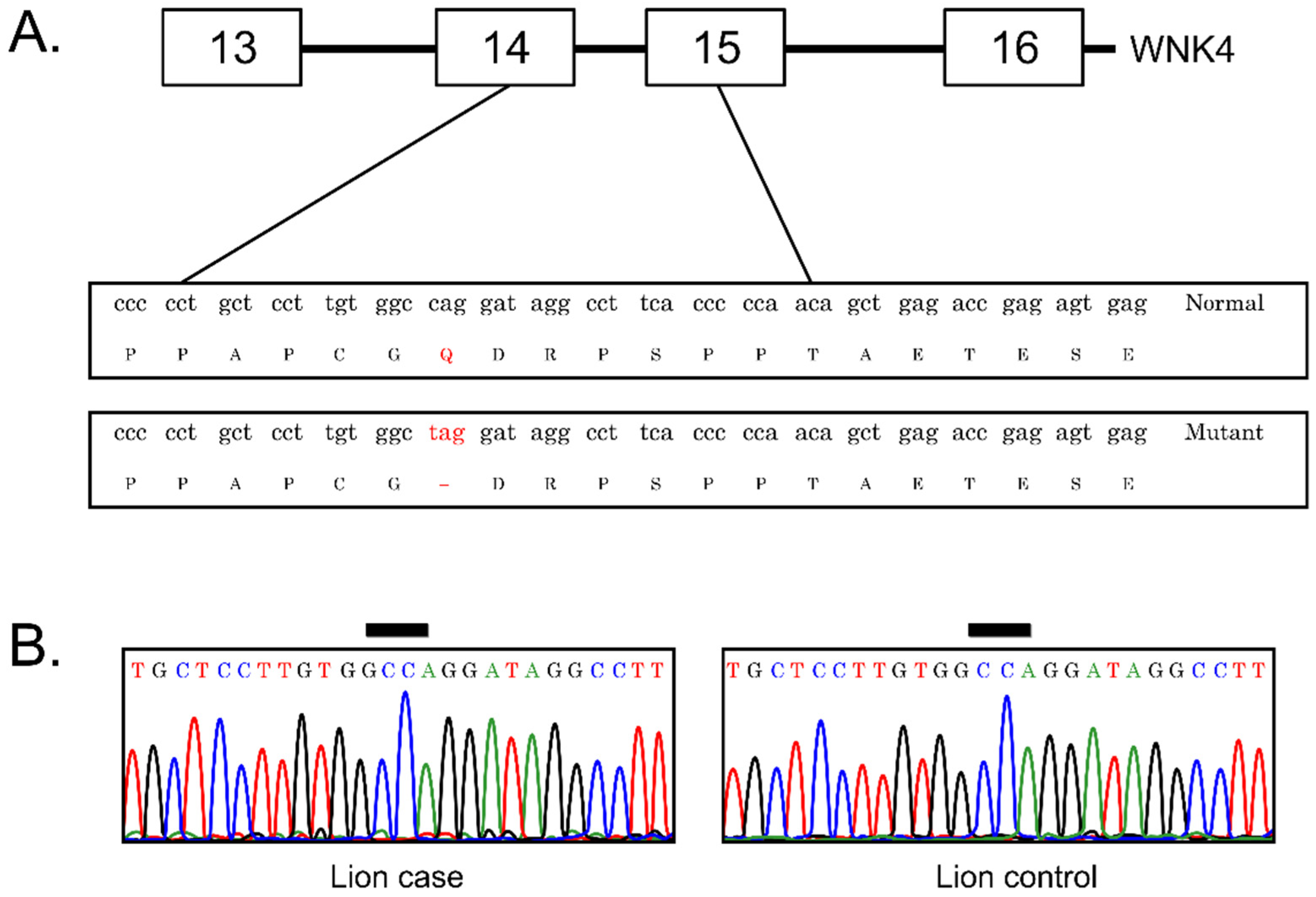 Animals 12 00389 g003 Animals 12 00389 g003