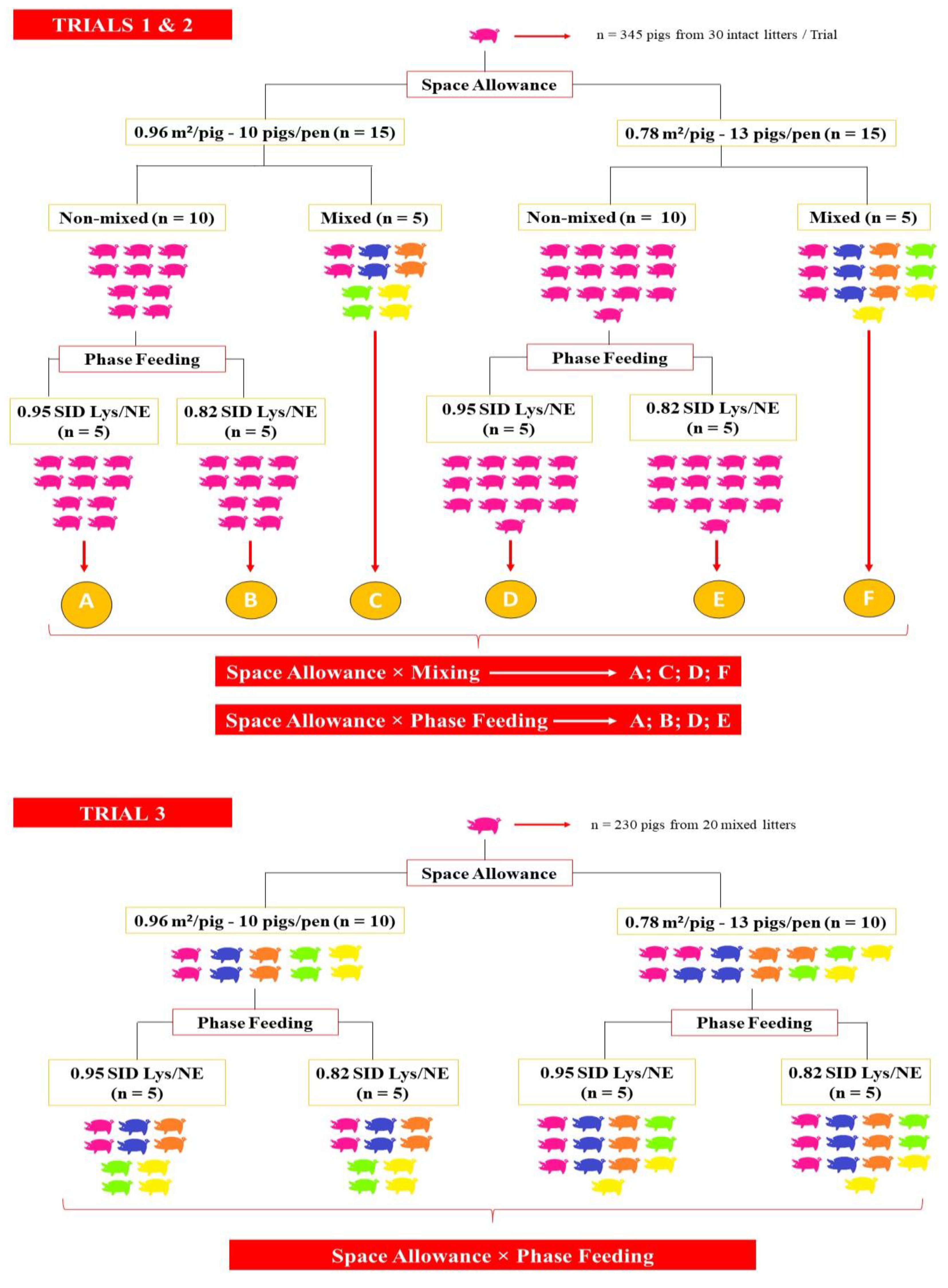 Animals 12 00390 g001