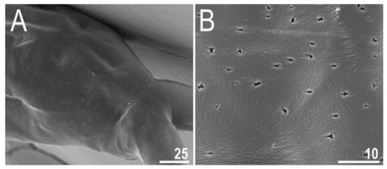 Animals 12 00404 g003 550