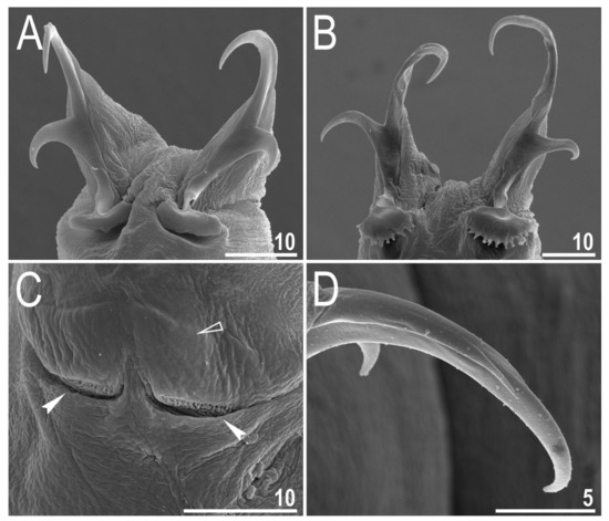 Animals 12 00404 g007 550