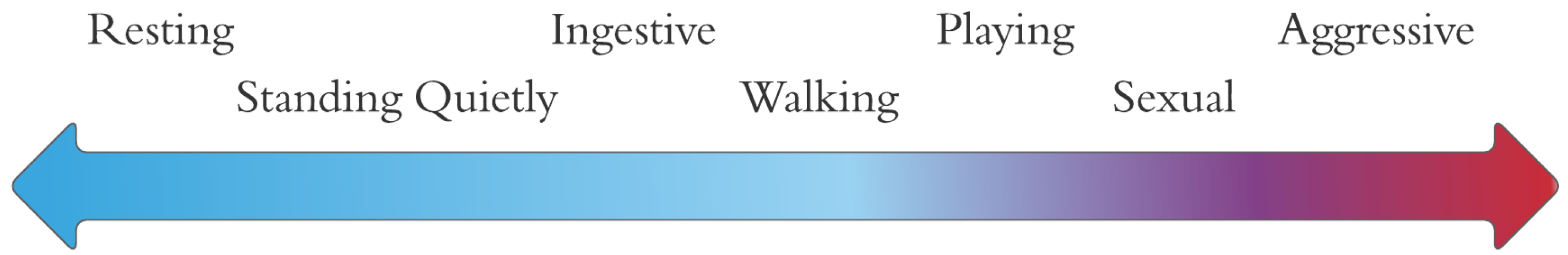 Animals 12 00421 g001