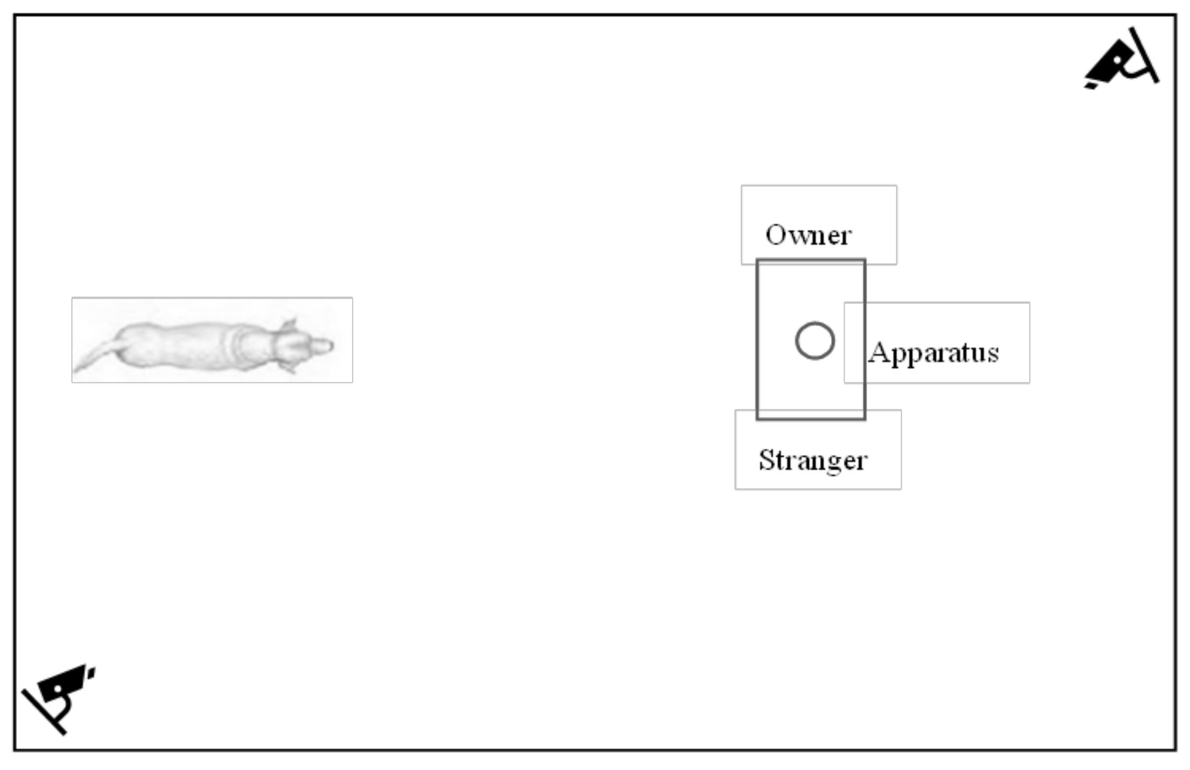 Animals 12 00435 g001