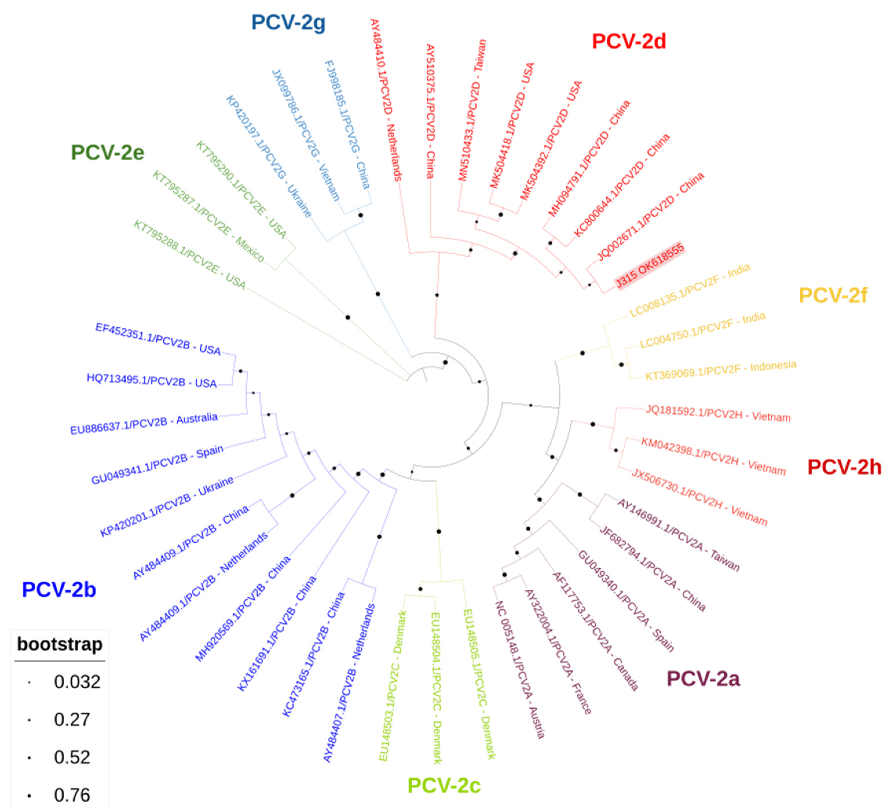 Animals 12 00451 g001