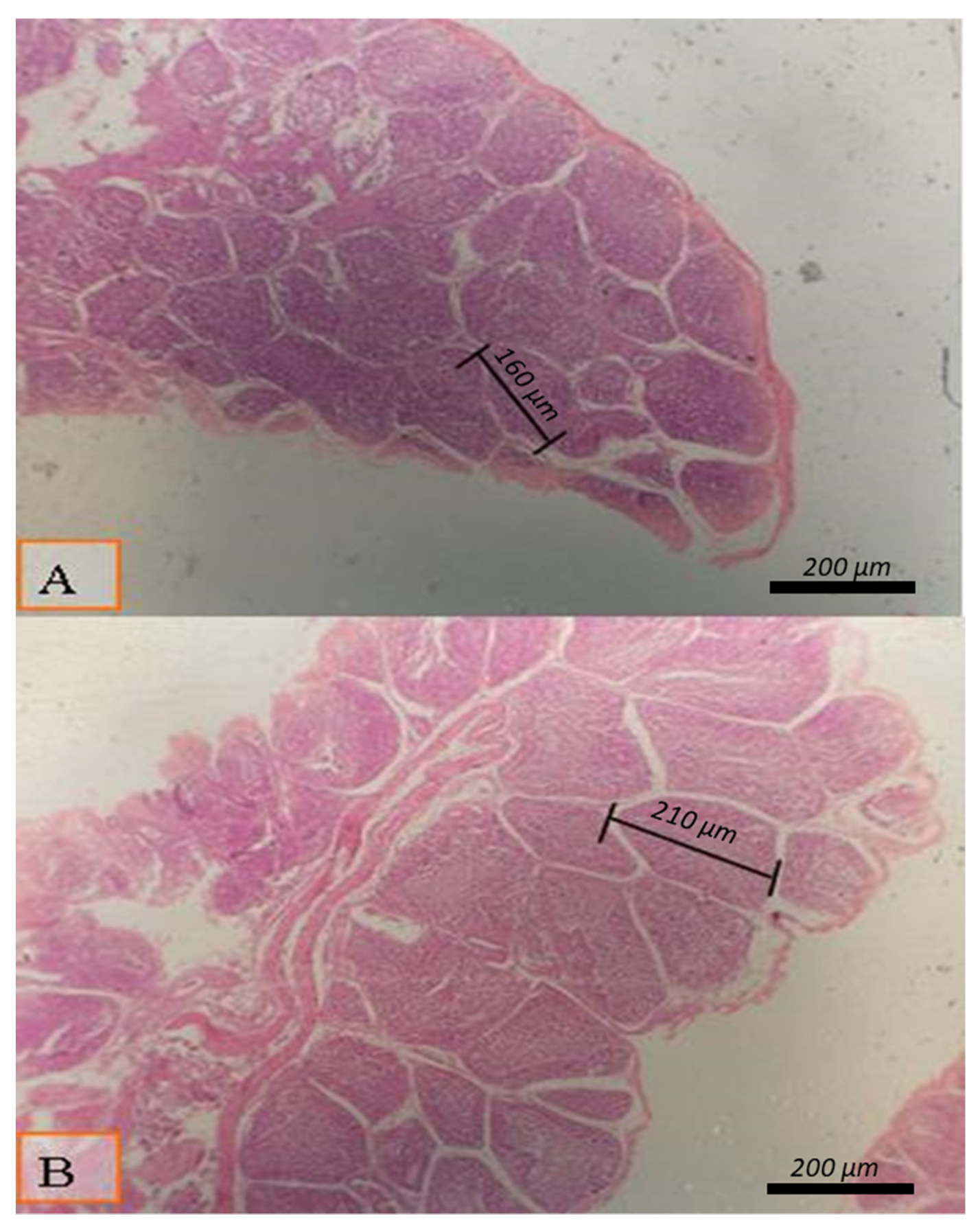 Animals 12 00453 g001