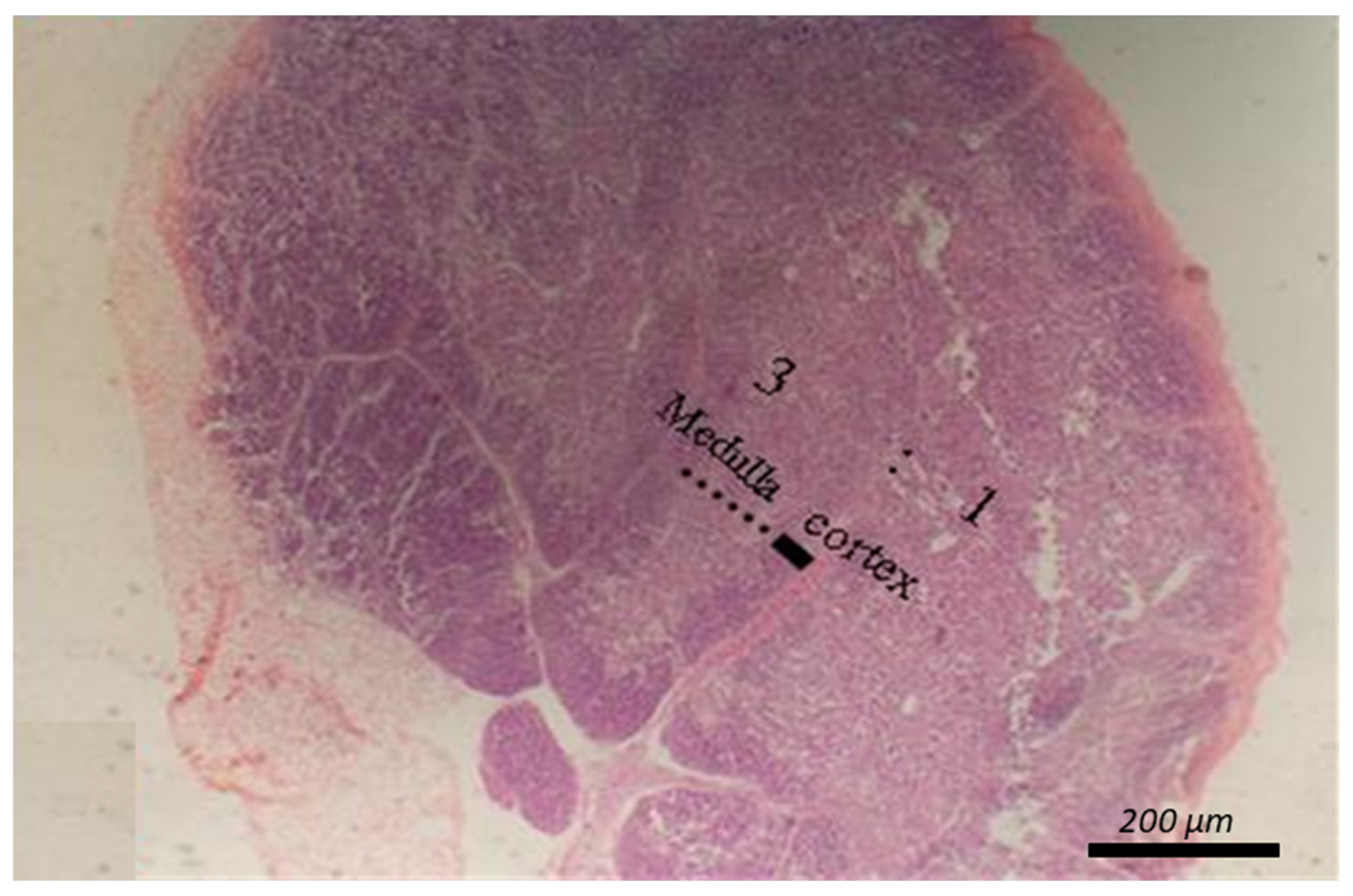 Animals 12 00453 g002