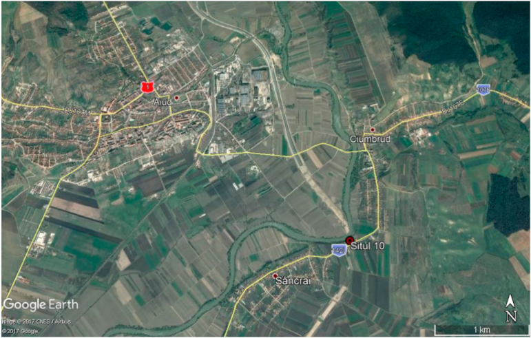 Animals 12 00478 g001