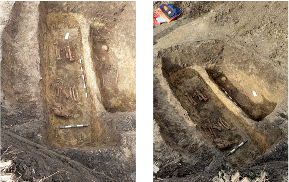 Animals 12 00478 g002