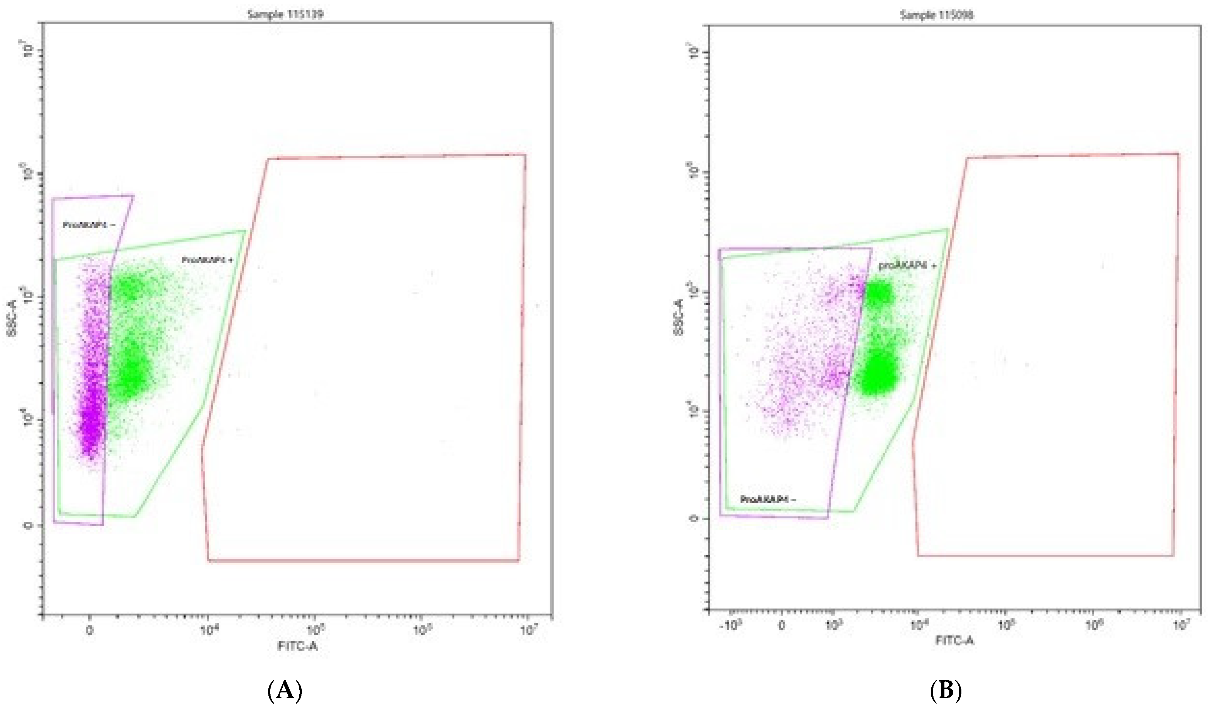 Animals 12 00521 g002