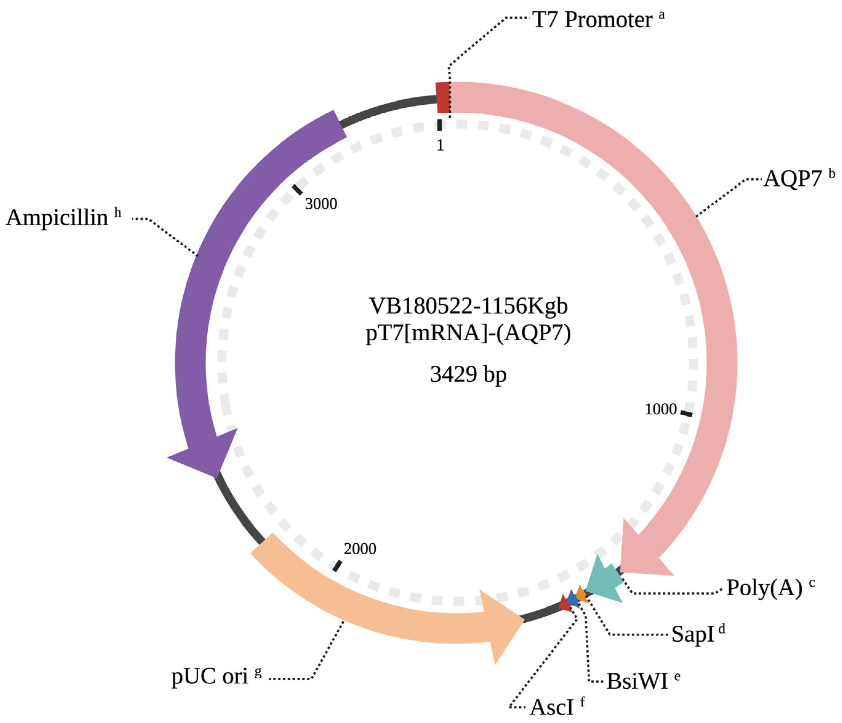 Animals 12 00530 g001
