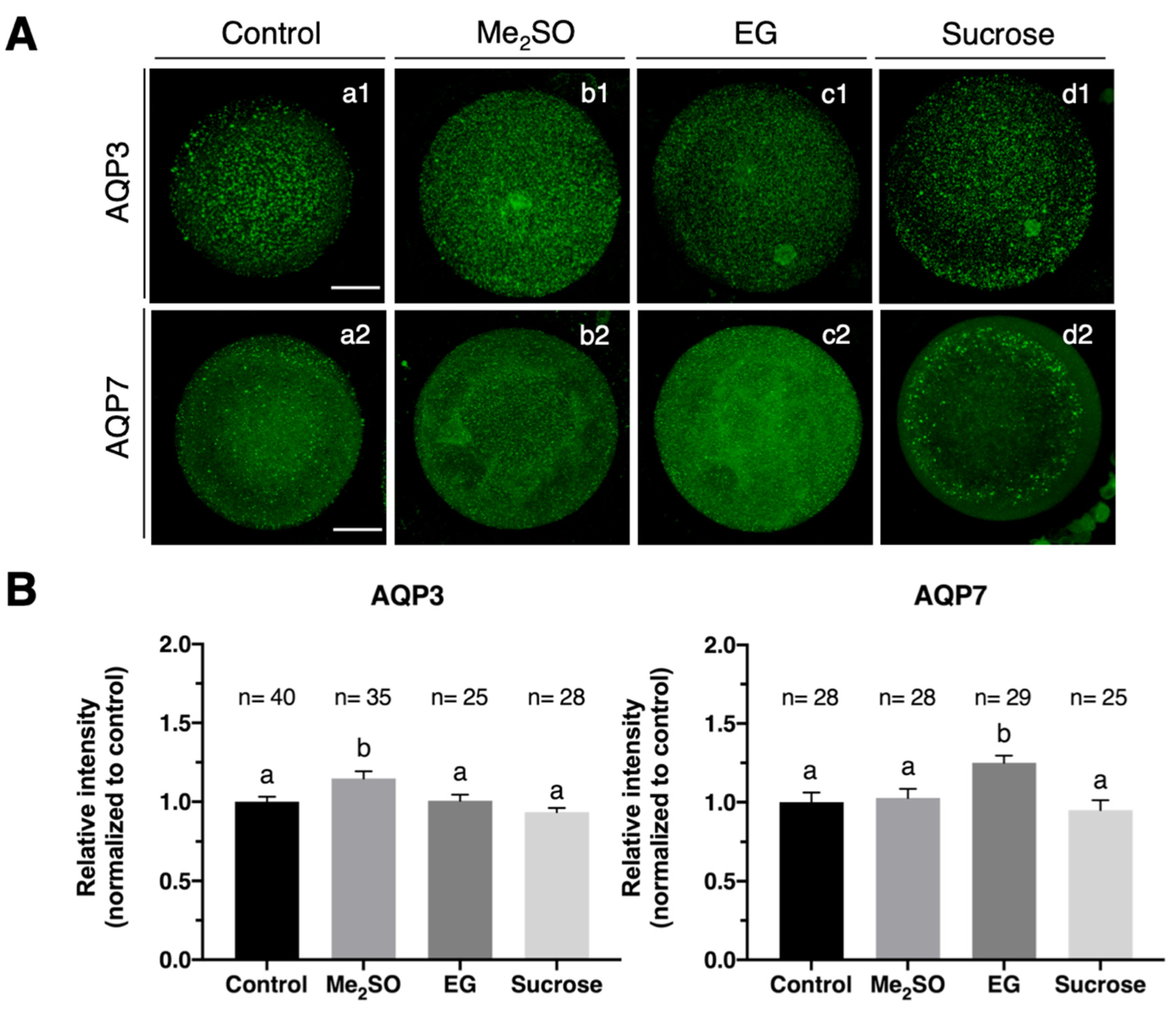 Animals 12 00530 g002