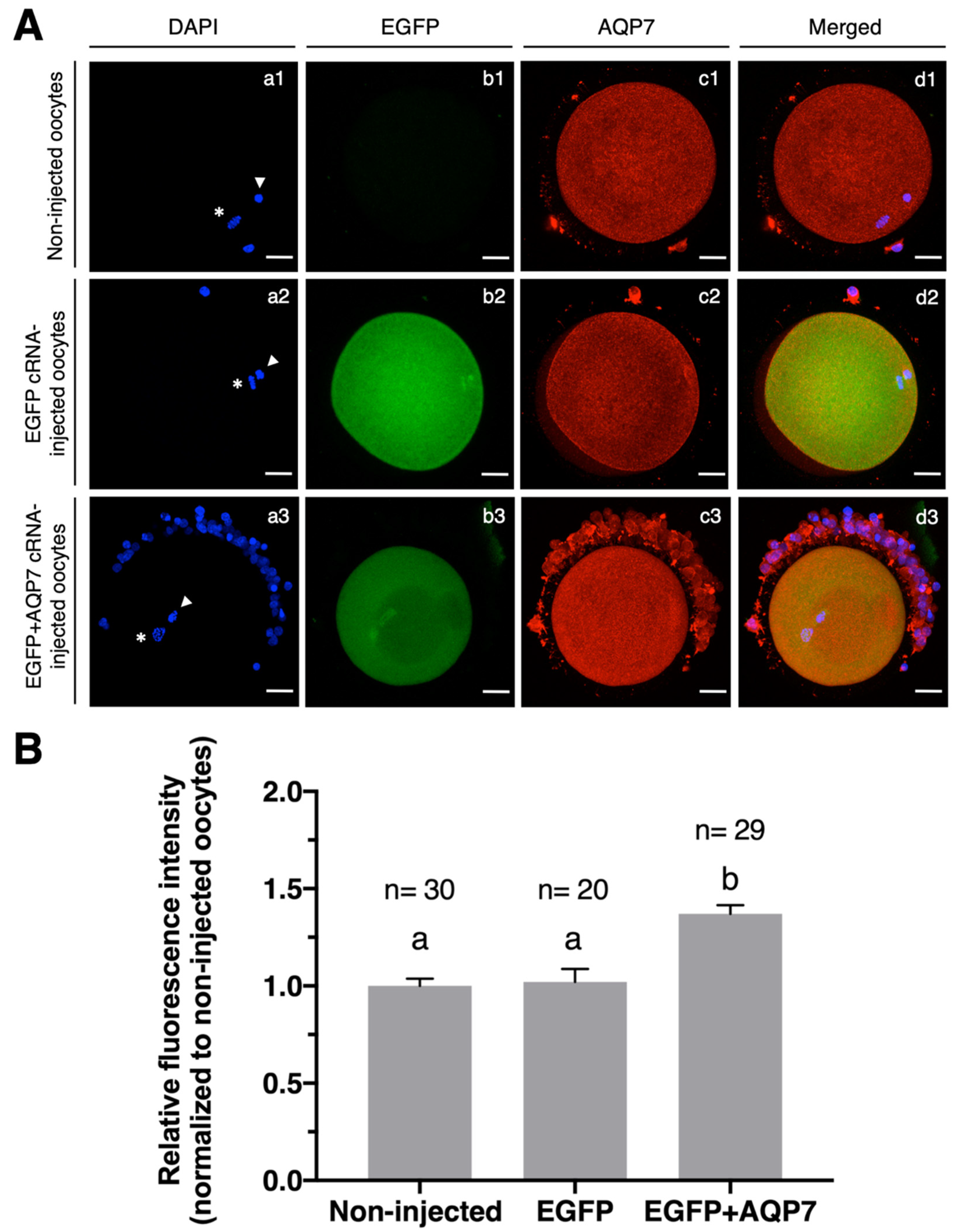 Animals 12 00530 g003