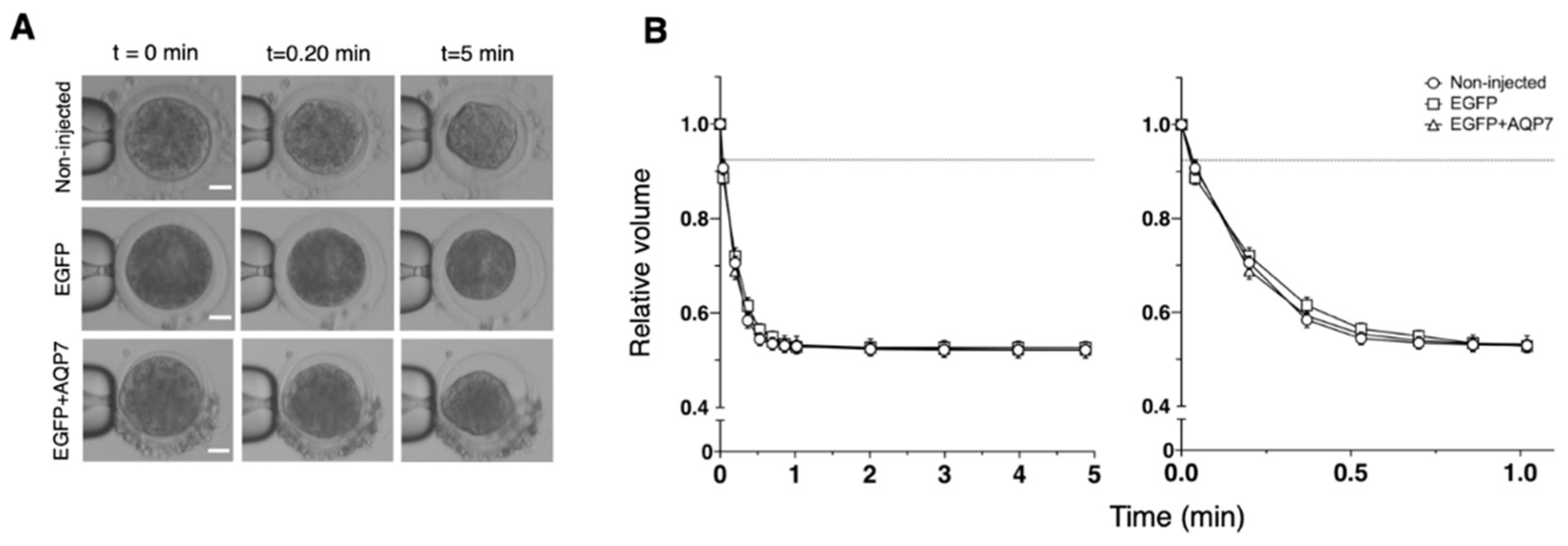 Animals 12 00530 g004