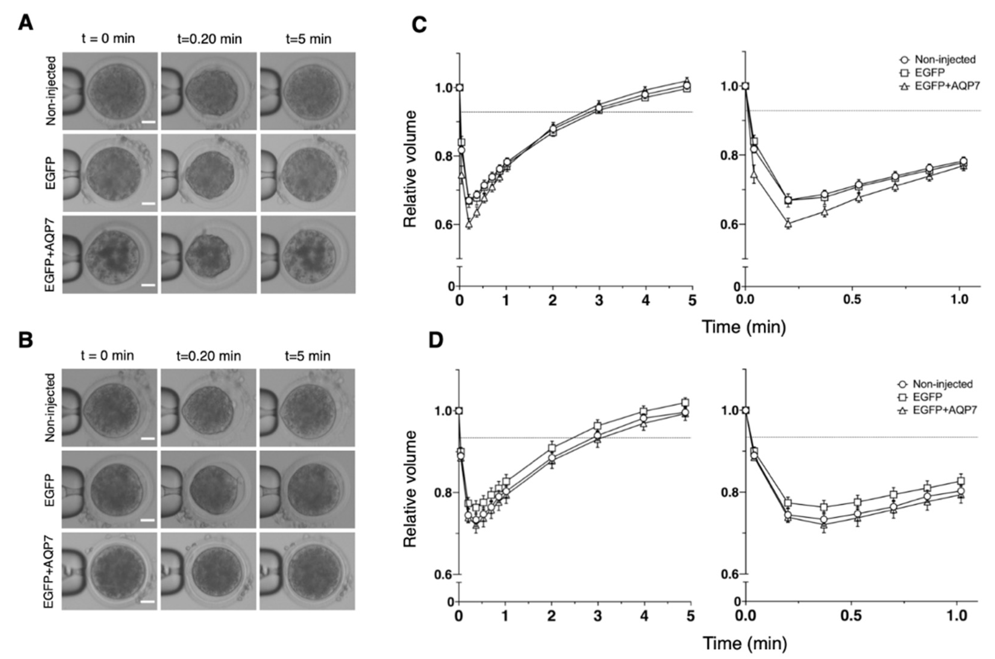 Animals 12 00530 g005