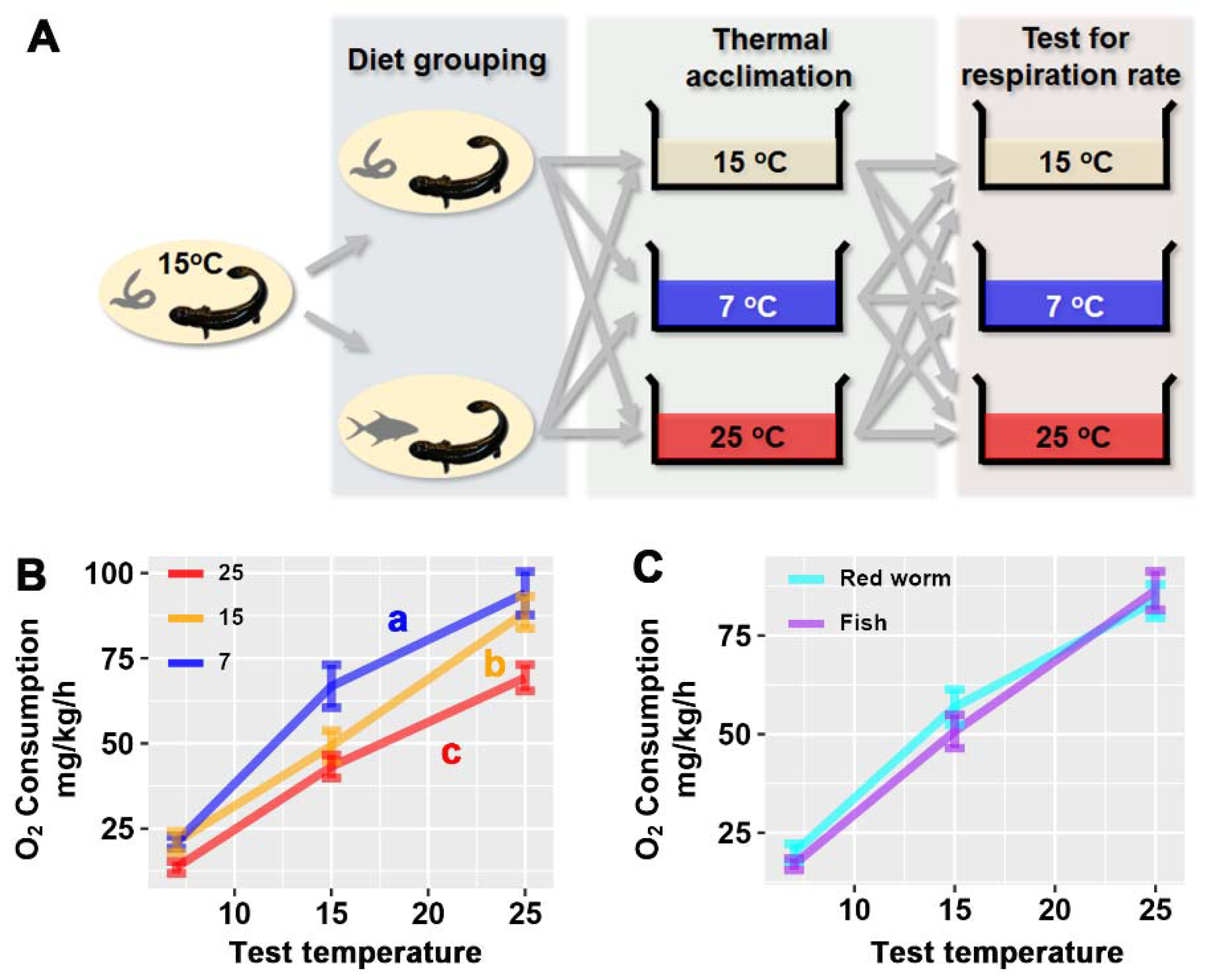 Animals 12 00531 g001