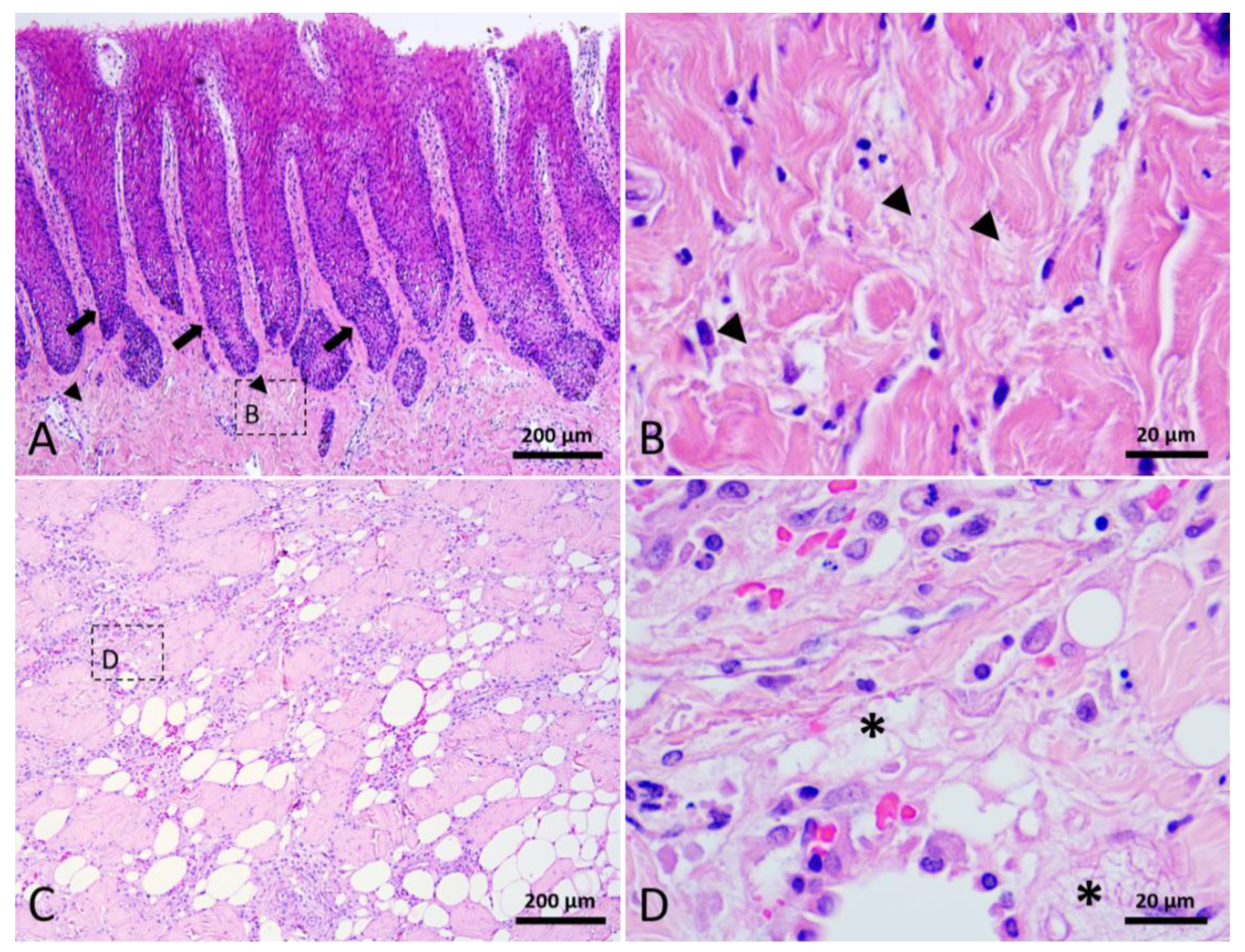 Animals 12 00537 g005