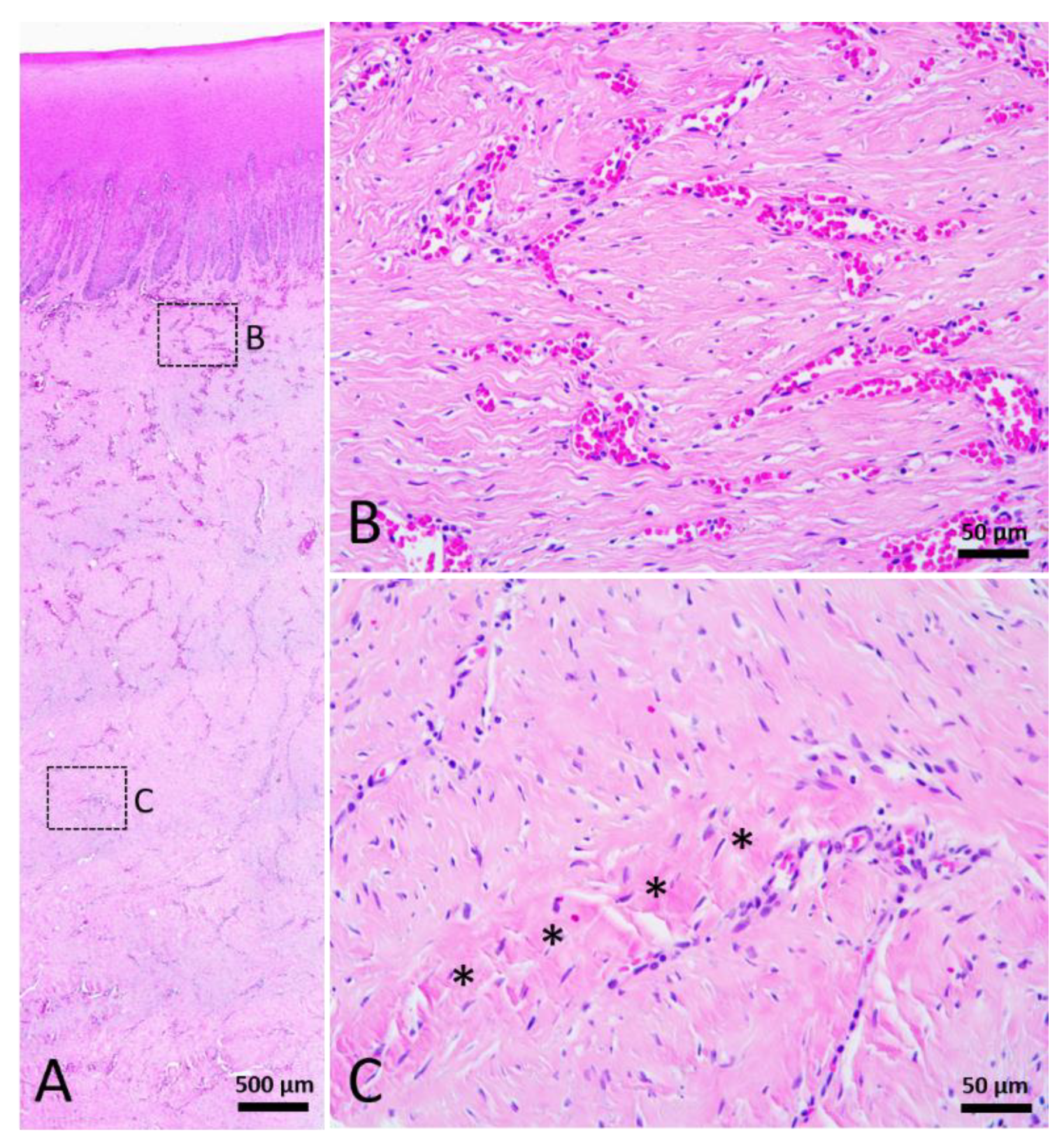 Animals 12 00537 g007