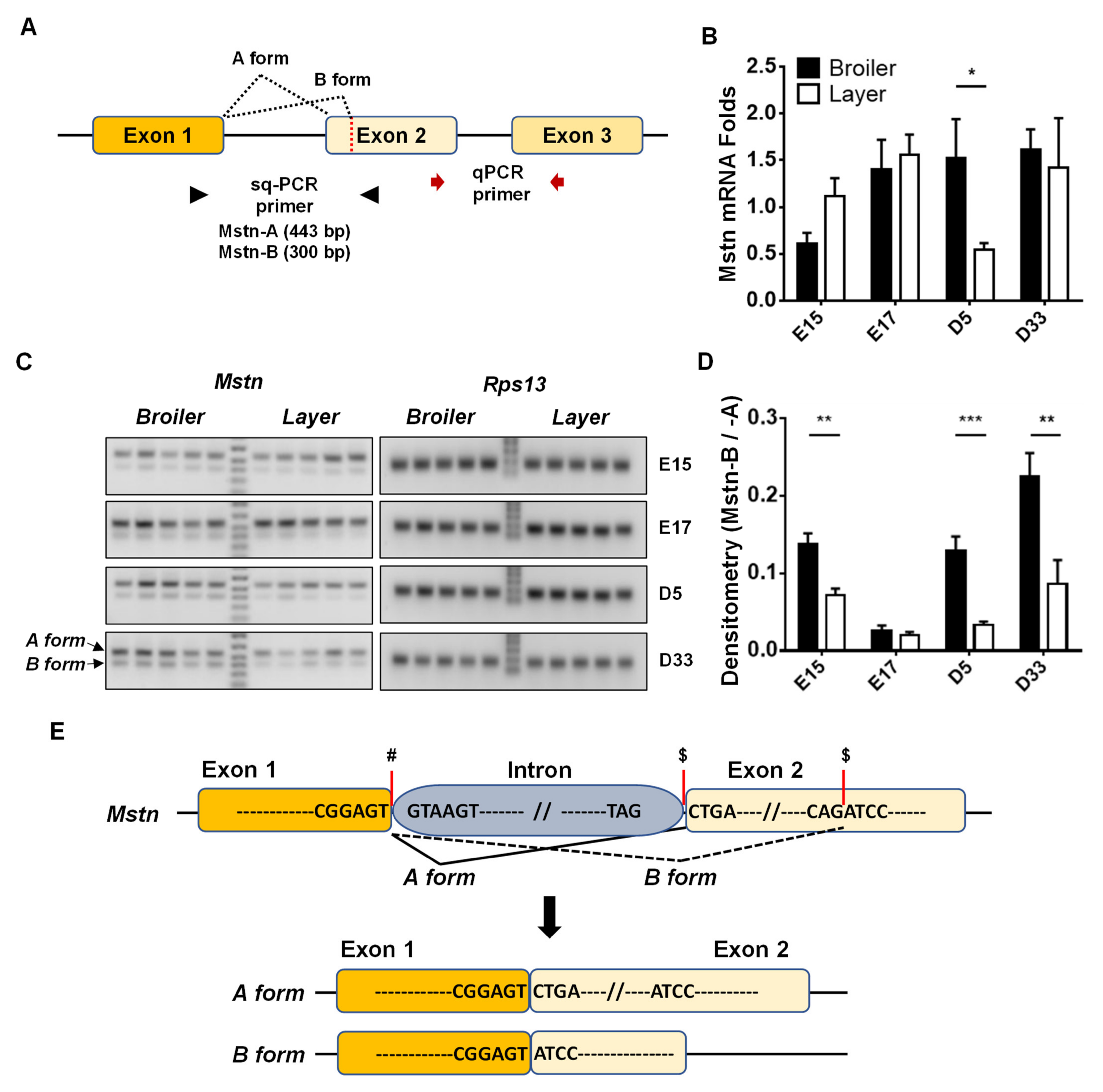 Animals 12 00539 g001